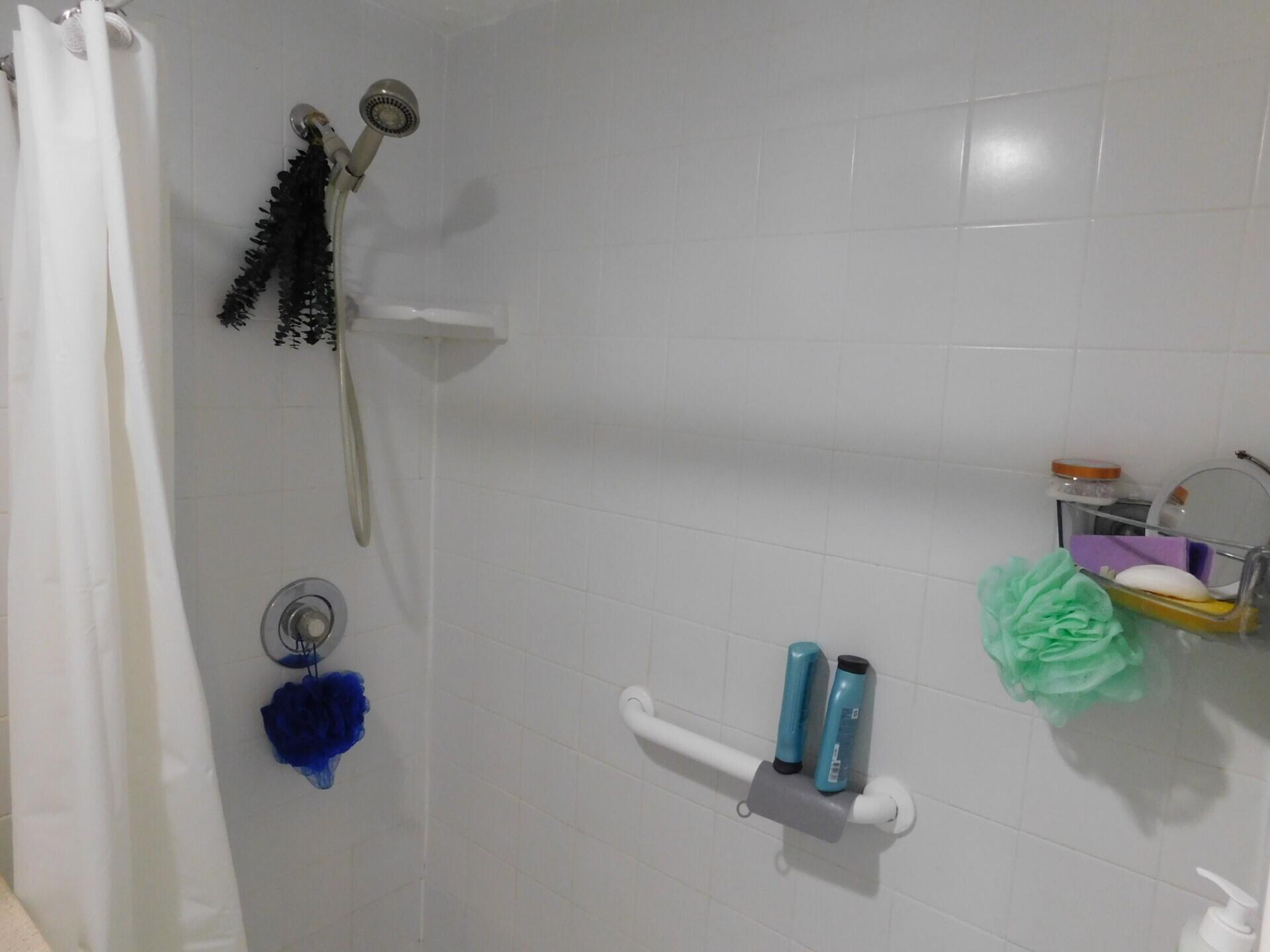 Owners Bathroom Shower