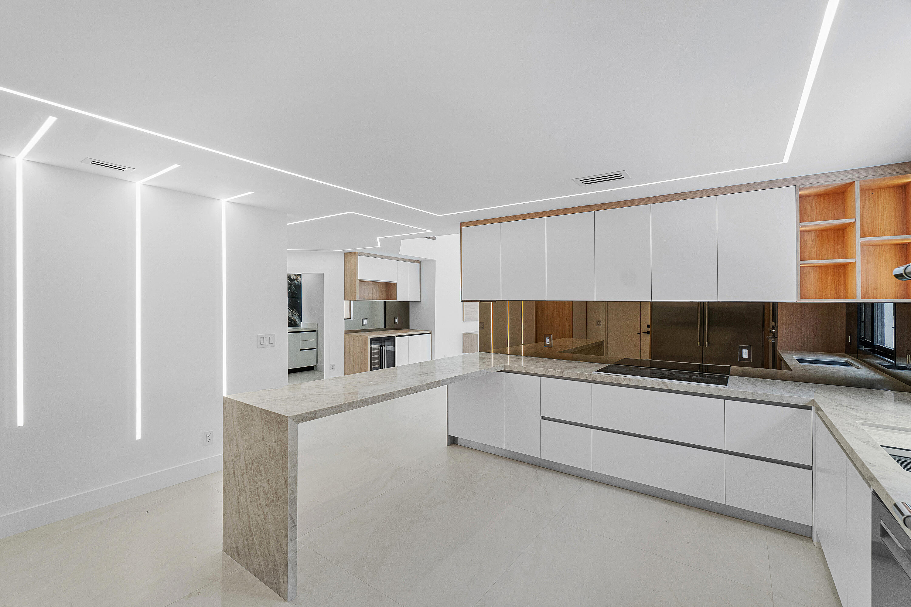 Renovated Contemporary Kitchen