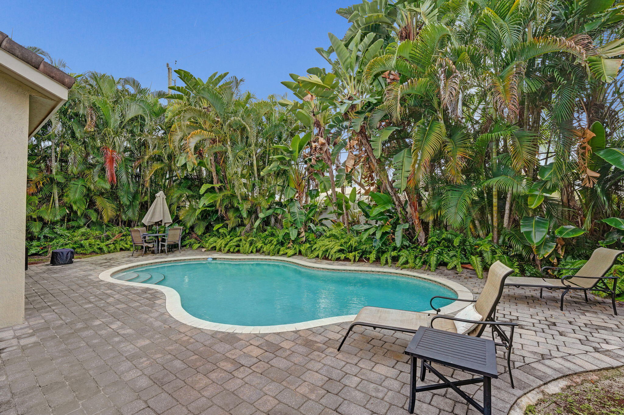 86-web-or-mls-DSC06393