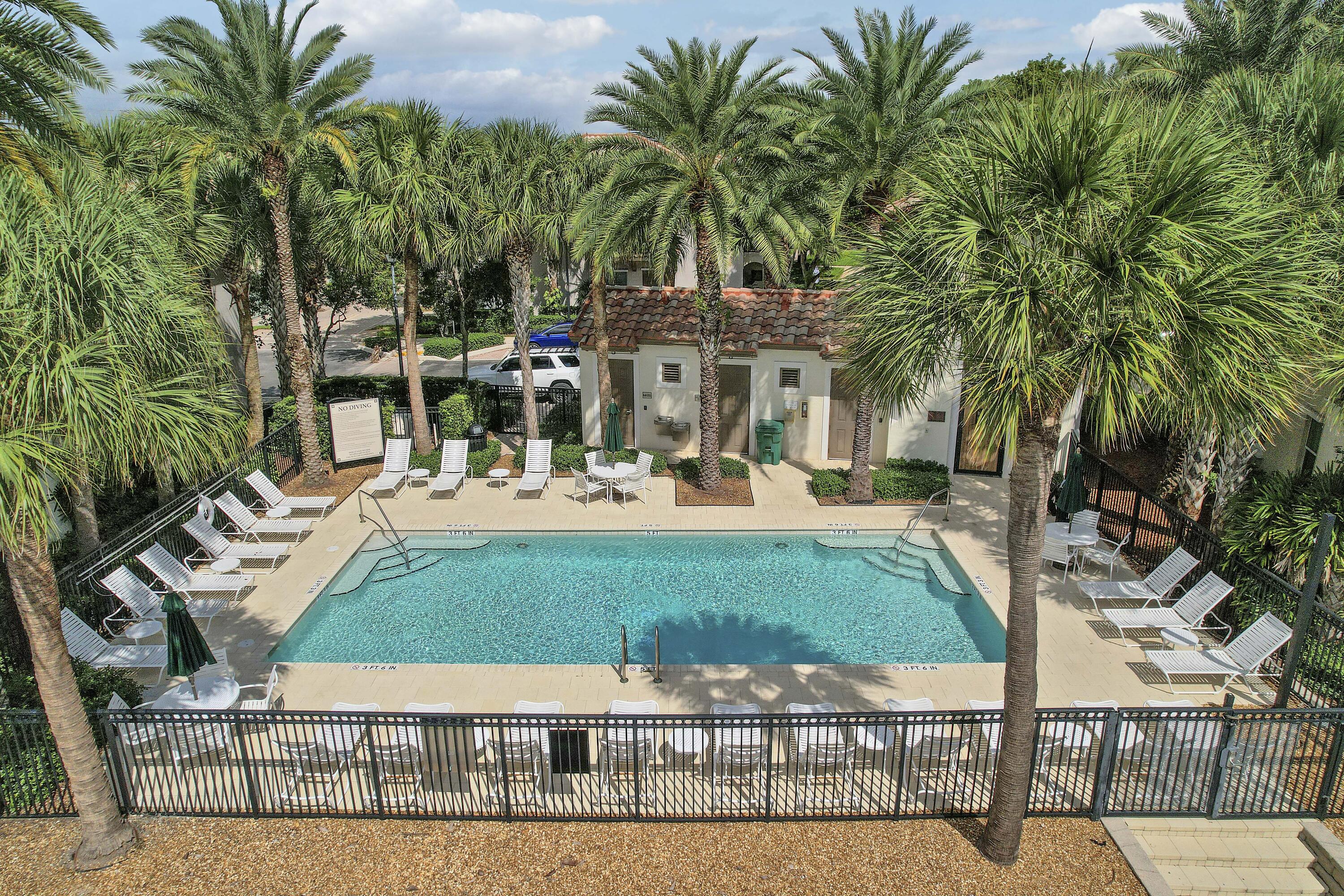 Rectangular outdoor swimming pool featuring a concrete deck, built-in metal perimeter fencing, and surrounding mature palm landscaping Rectangular outdoor swimming pool featuring a concrete deck, built-in metal perimeter fencing, and surrounding mature palm landscaping