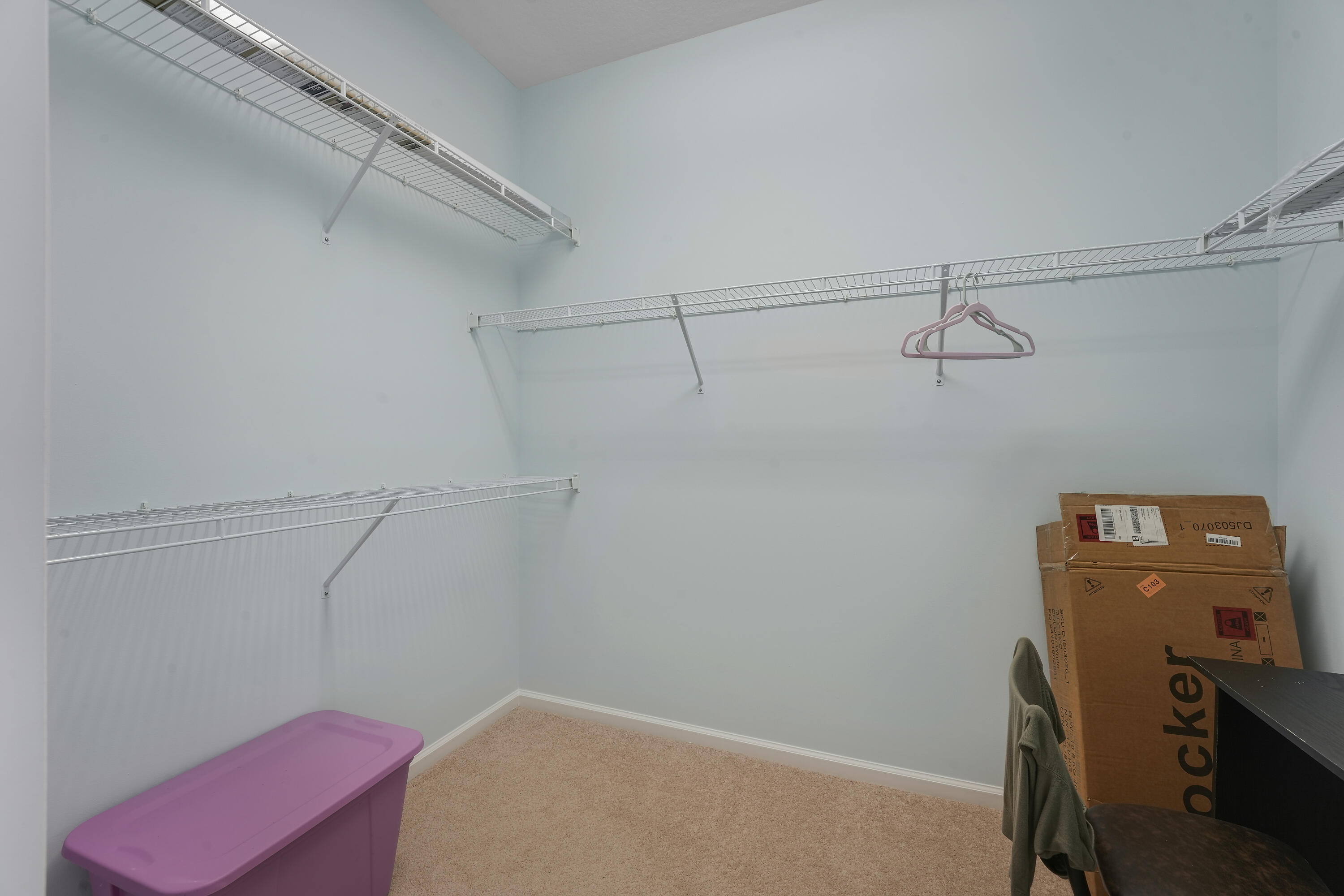 Walk-in closet featuring wall-to-wall carpeting and multi-level white wire shelving
