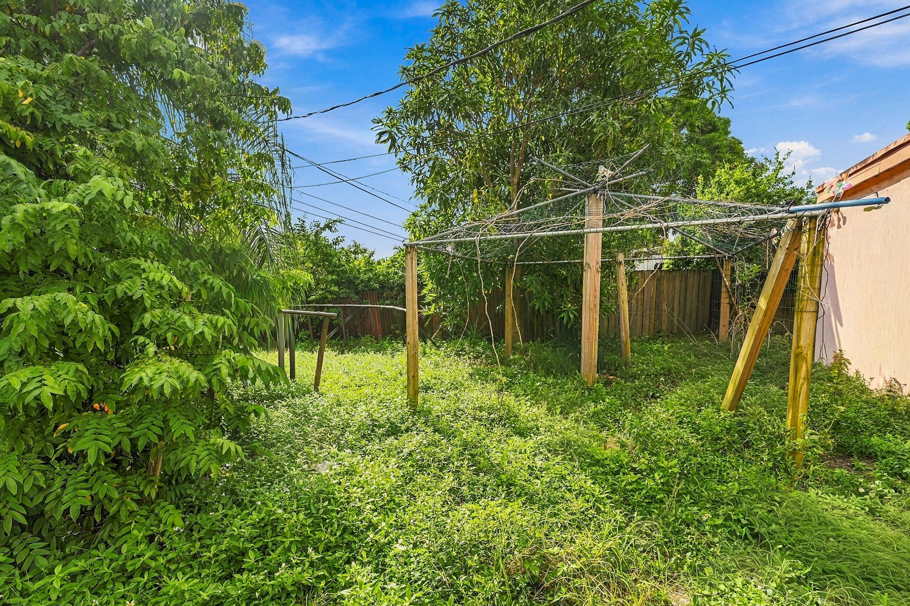 Yard