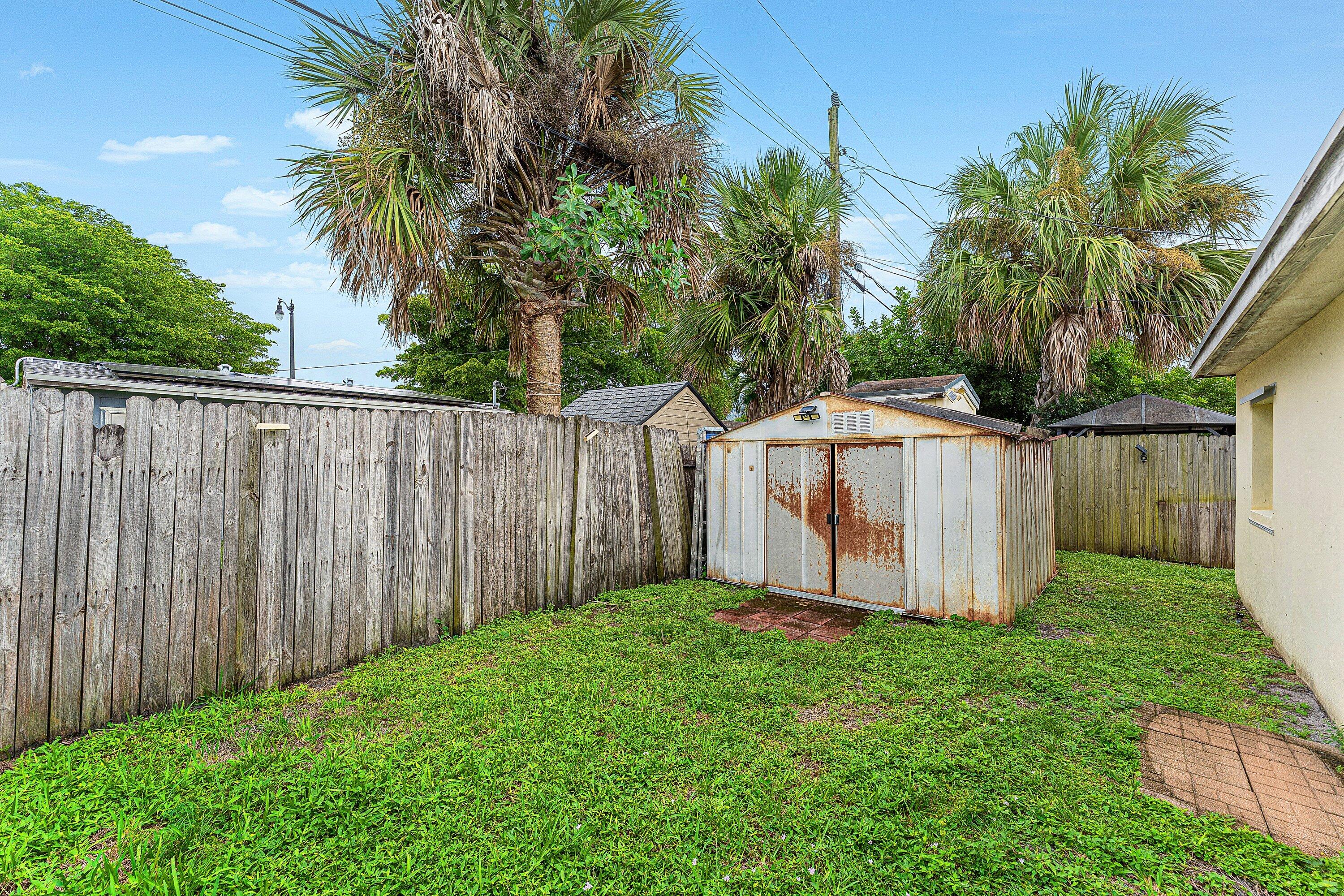Backyard