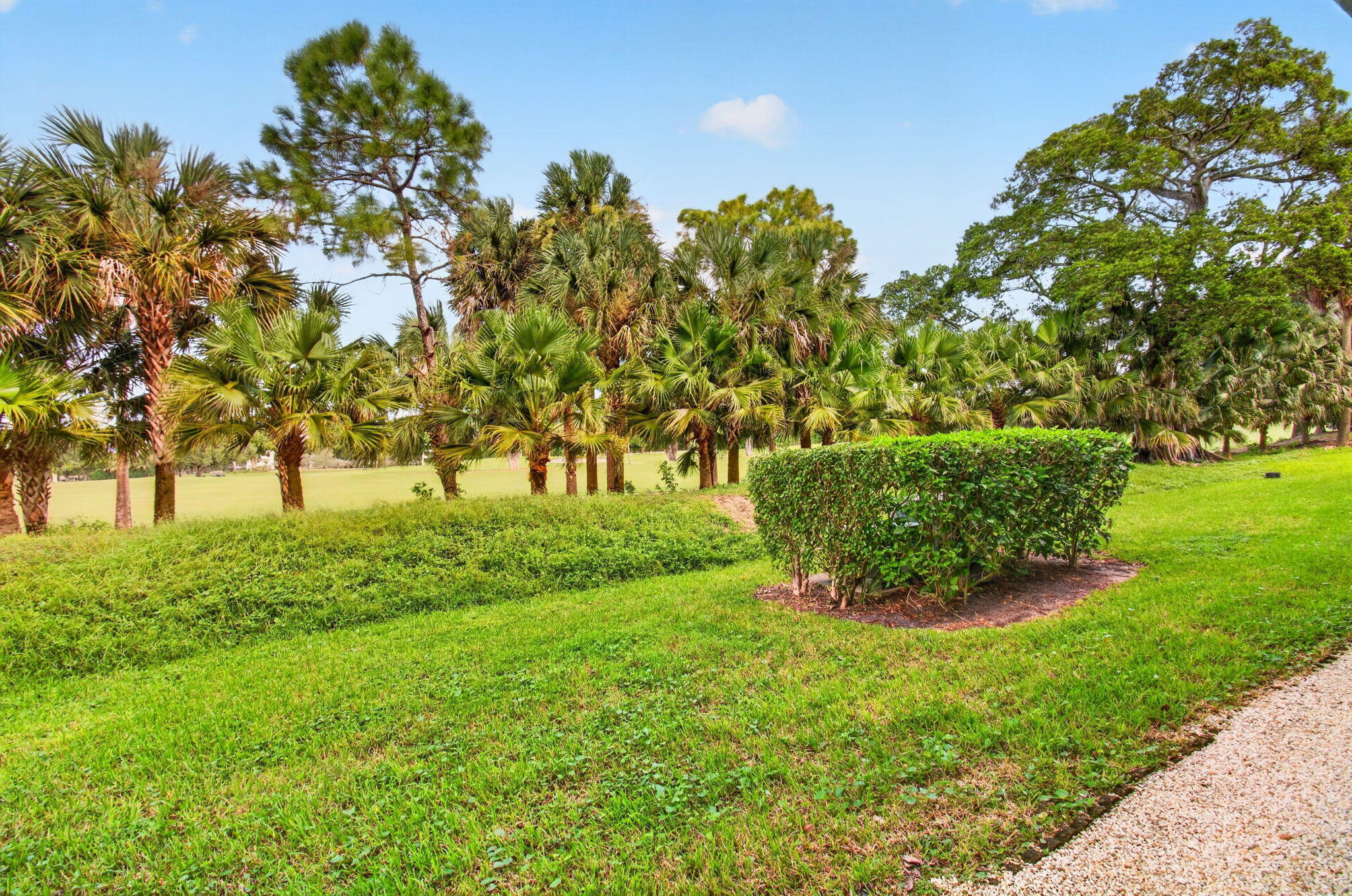 Golf course view