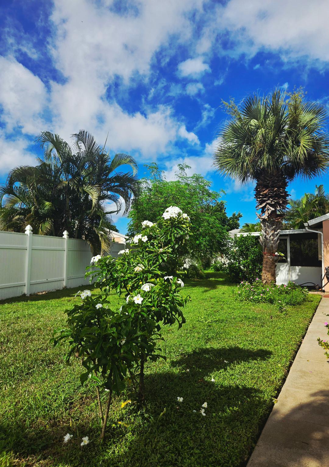 Side Yard Side Yard