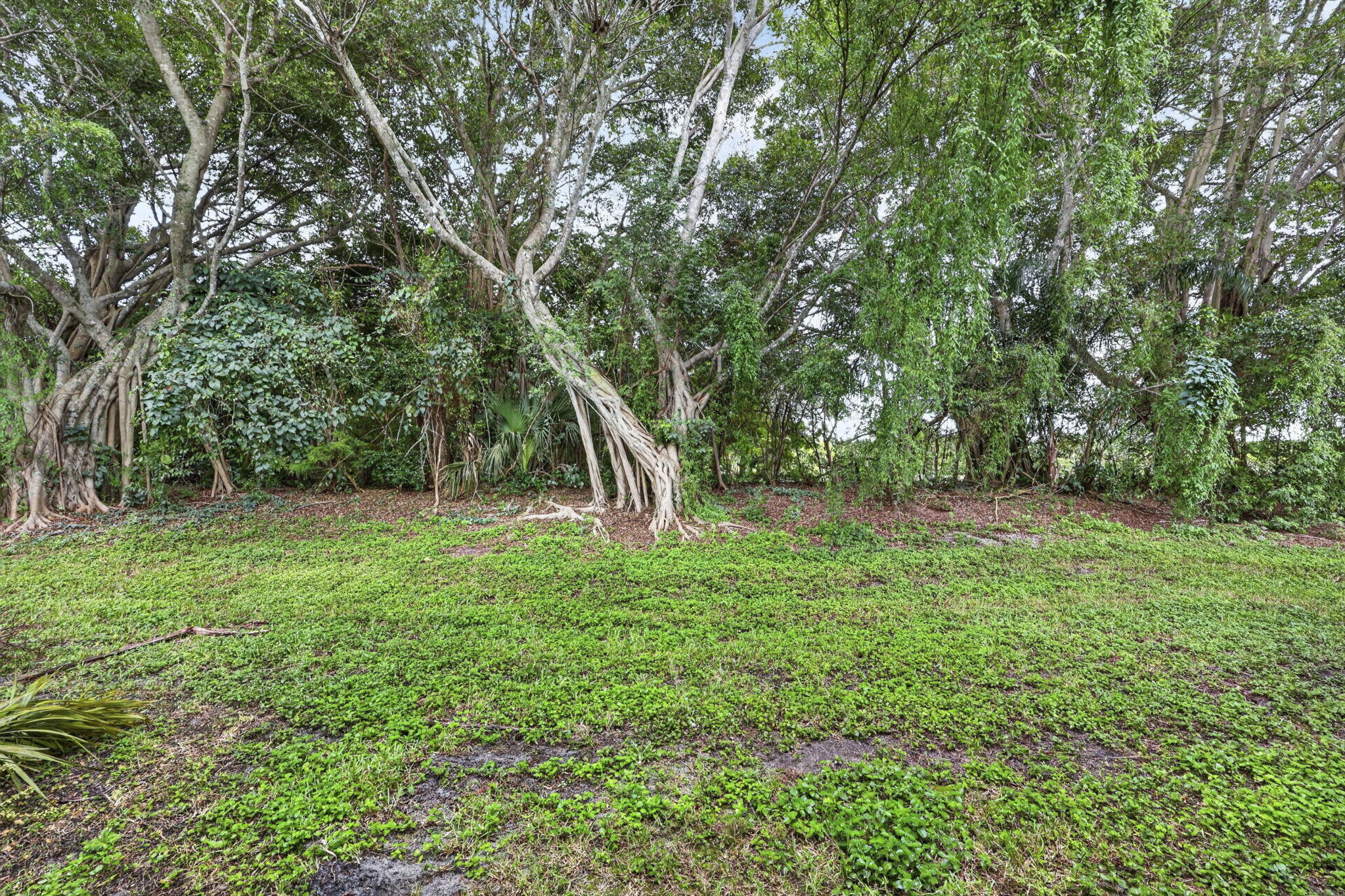 46-web-or-mls-BS1A0641