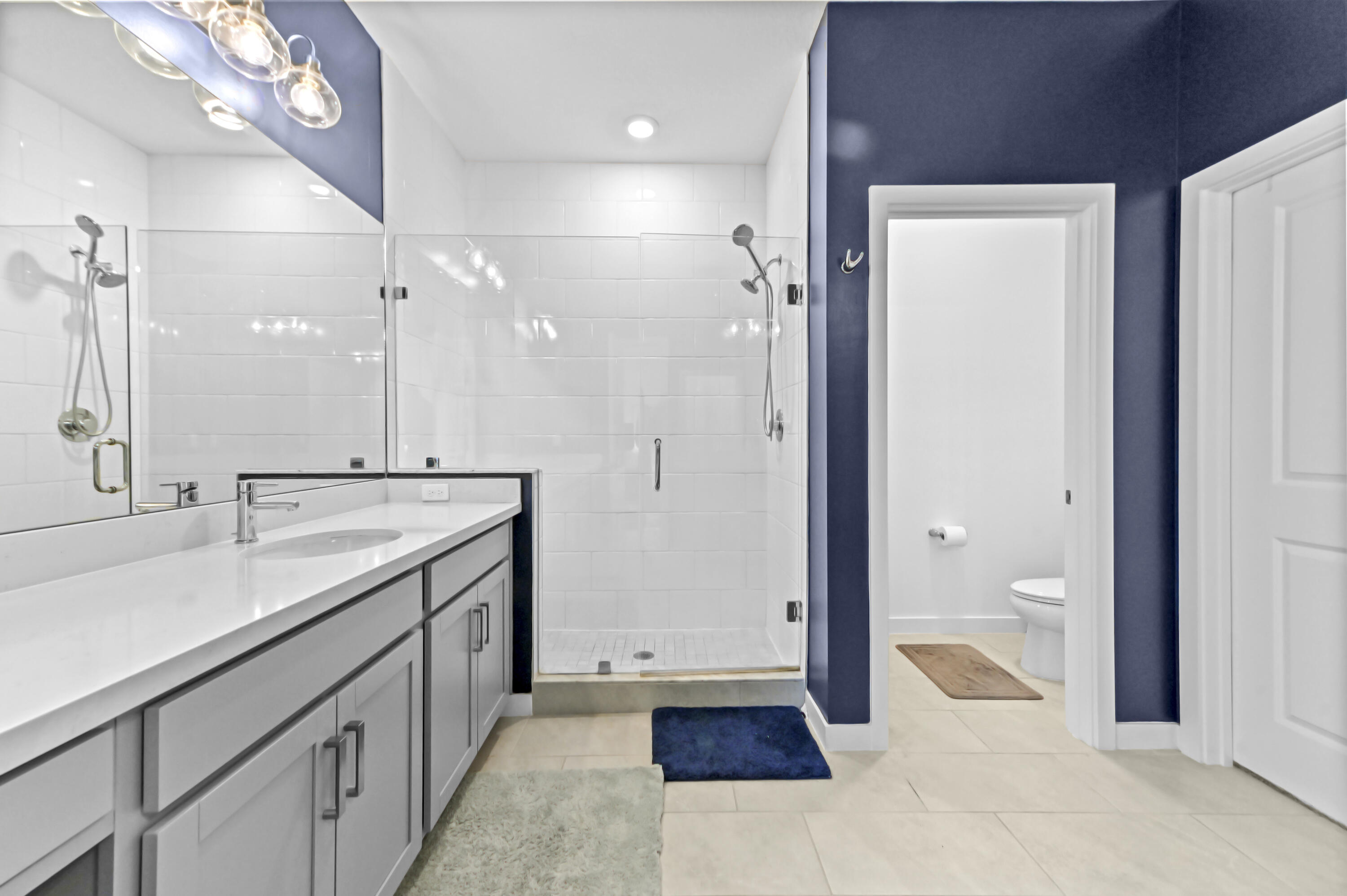 Frameless shower doors in Primary Bathroom, separate commode area and walk in closet with organizer