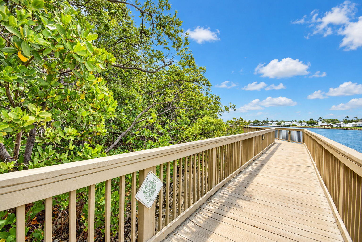 Stroll Along the Intracoastal