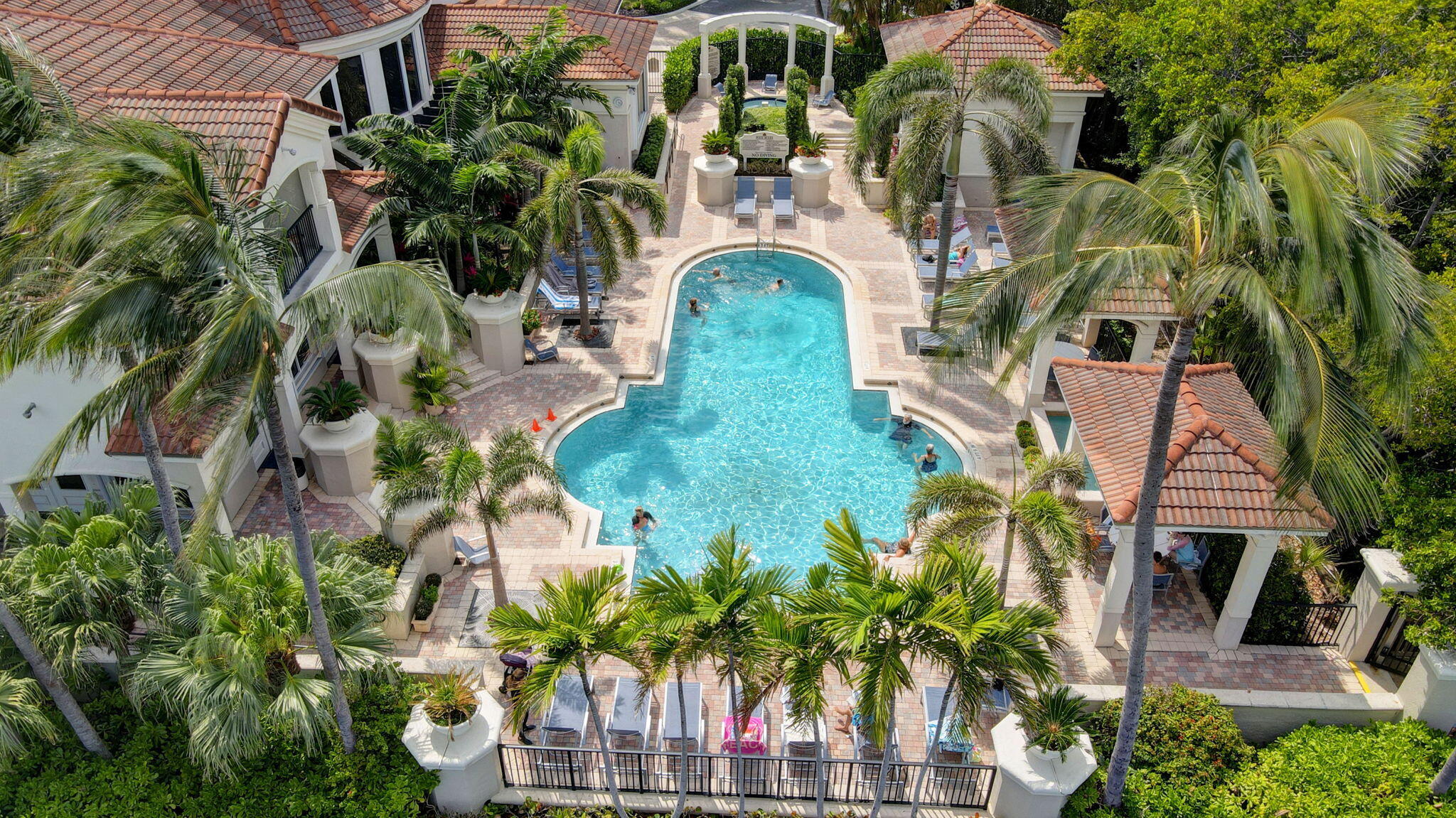 Tropical Poolside Paradise