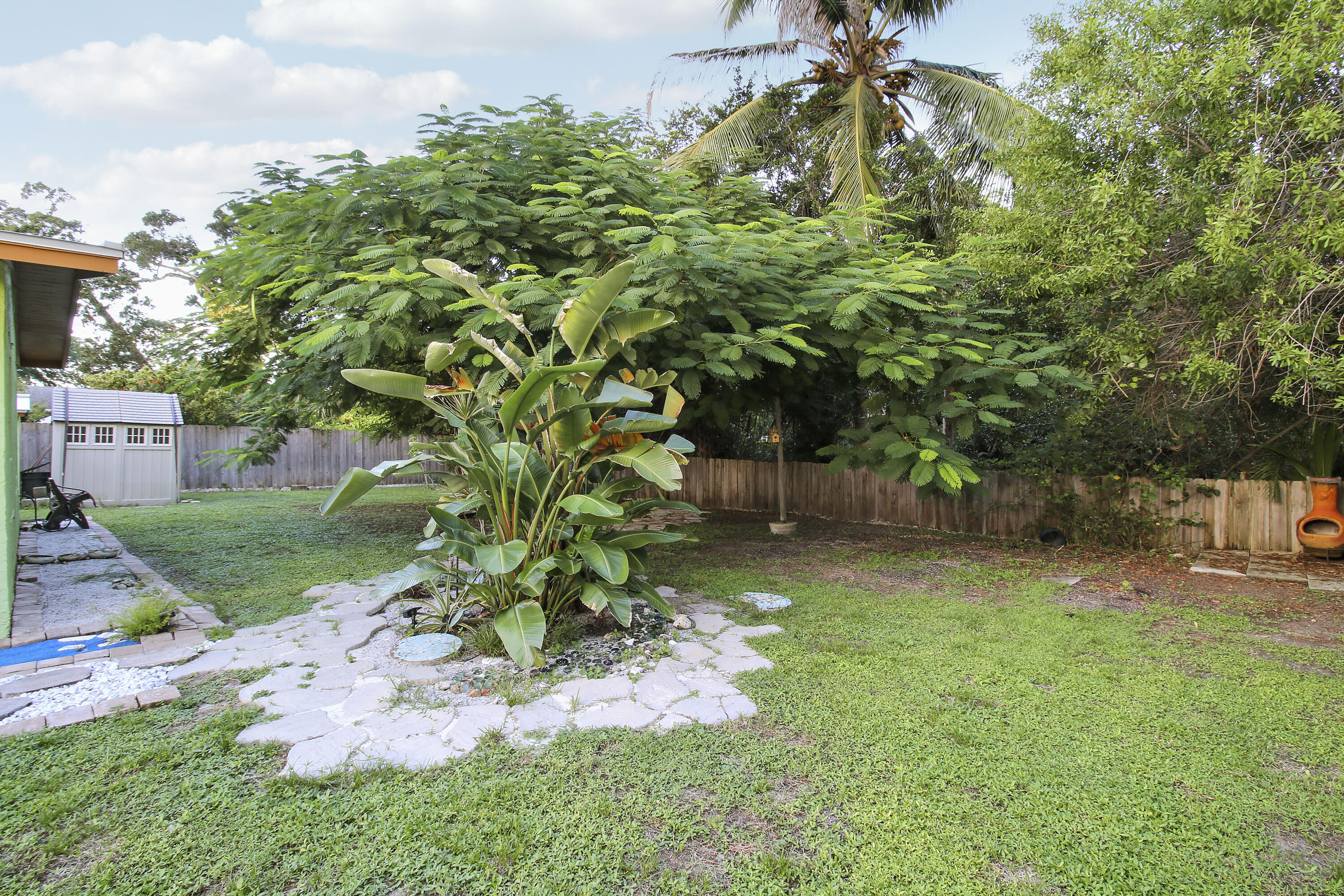 Back Yard