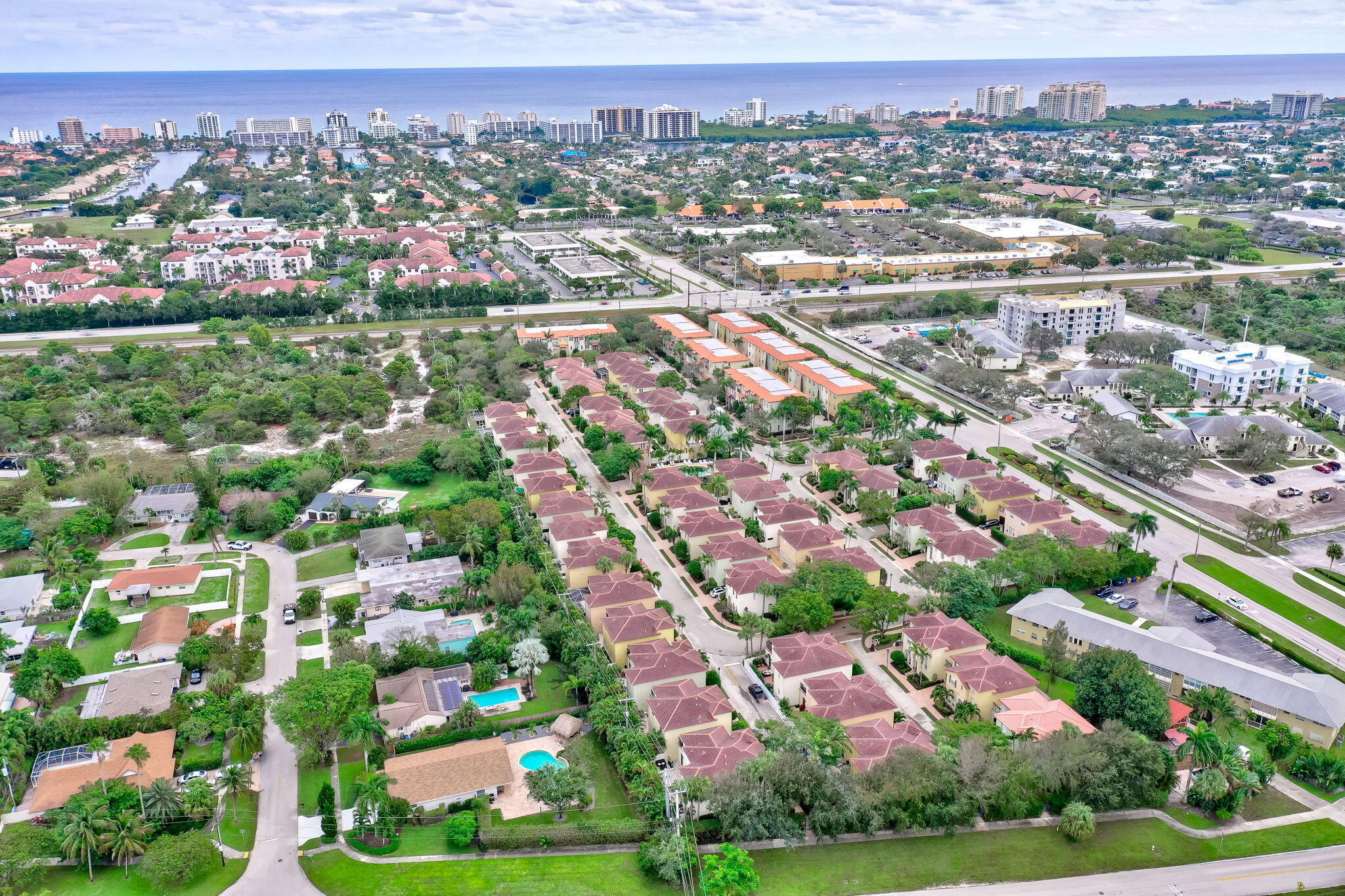 Royal Poinciana just miles away from the beach