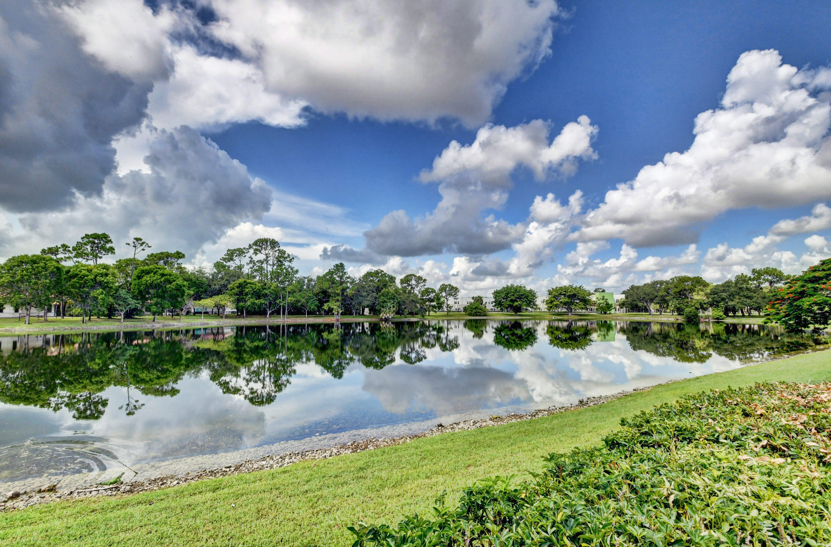 Serene Waterfront Views with Lush Greenery & Tranquil Natural Surroundings
