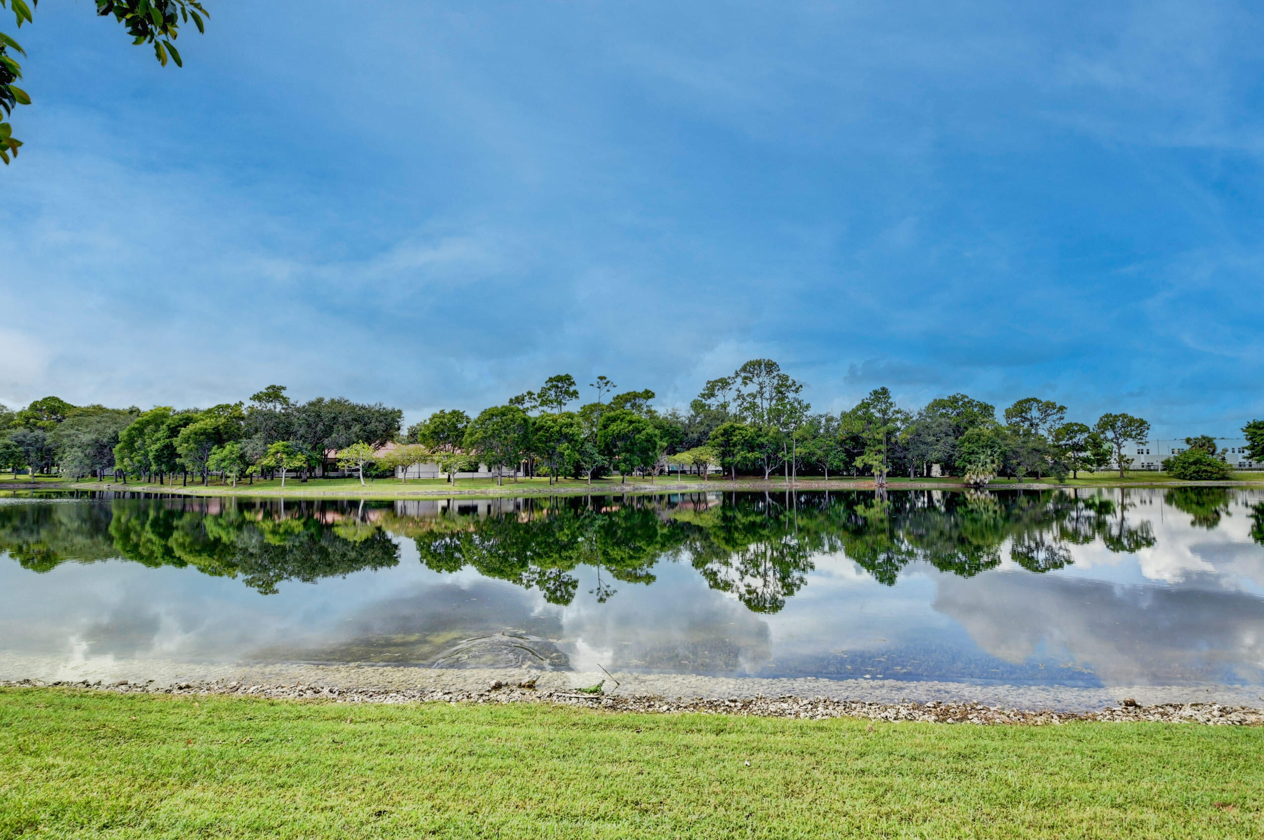 Serene Waterfront Views with Lush Greenery & Tranquil Natural Surroundings