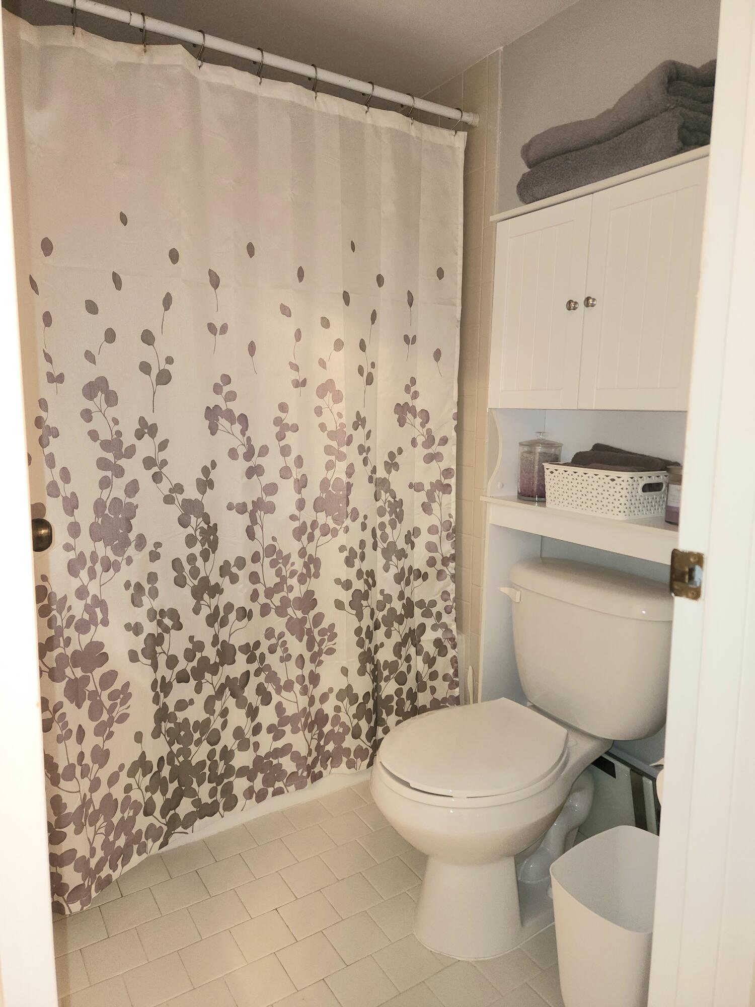 Primary bathroom toilet and shower