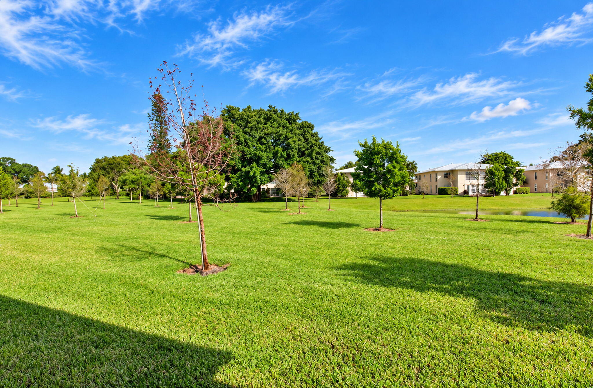 38-web-or-mls-DSC_4816