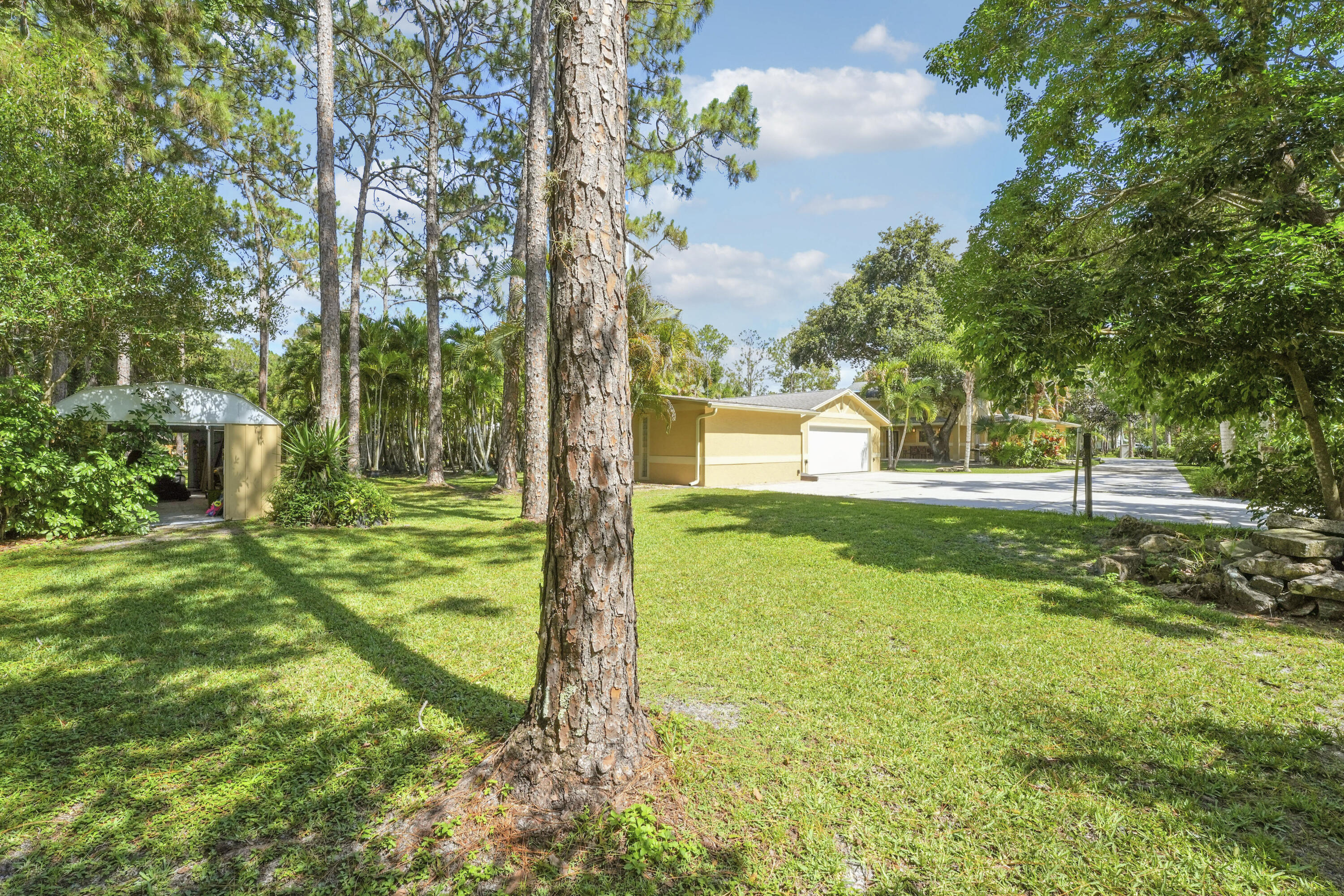 Shed / Guest House & Garage