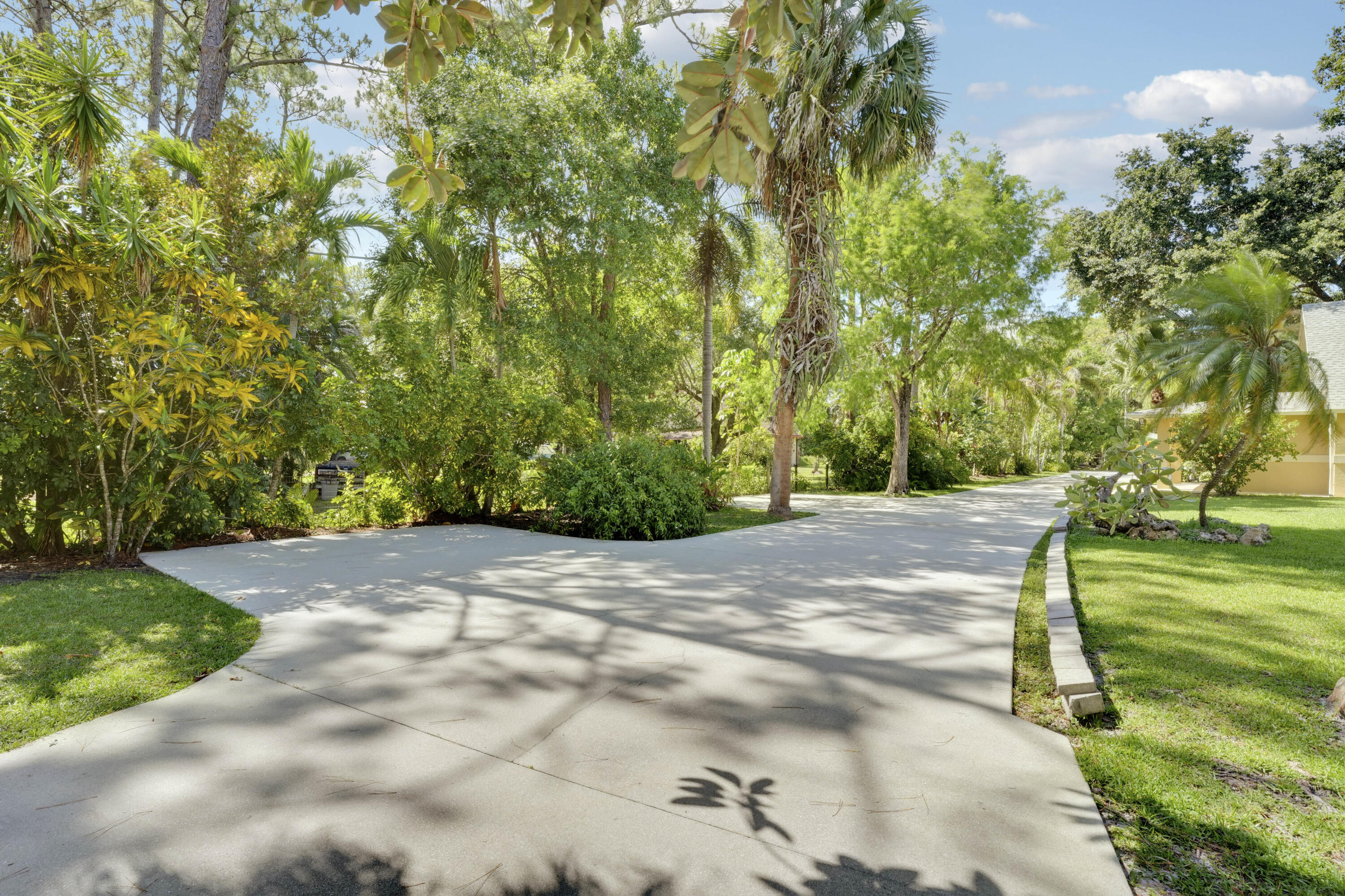 Driveway