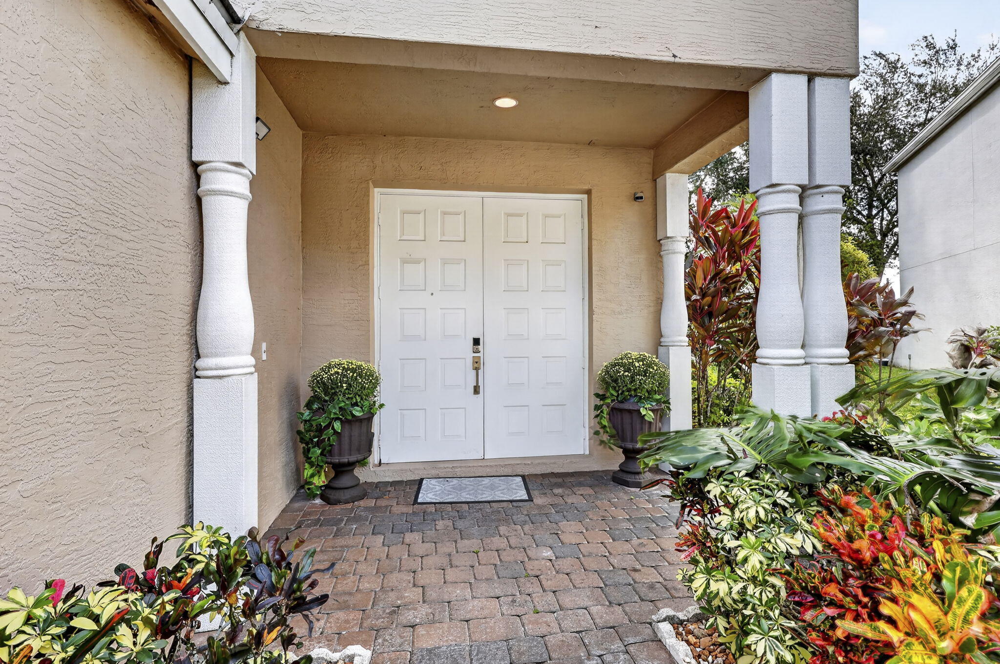 6-web-or-mls-BS1A1611
