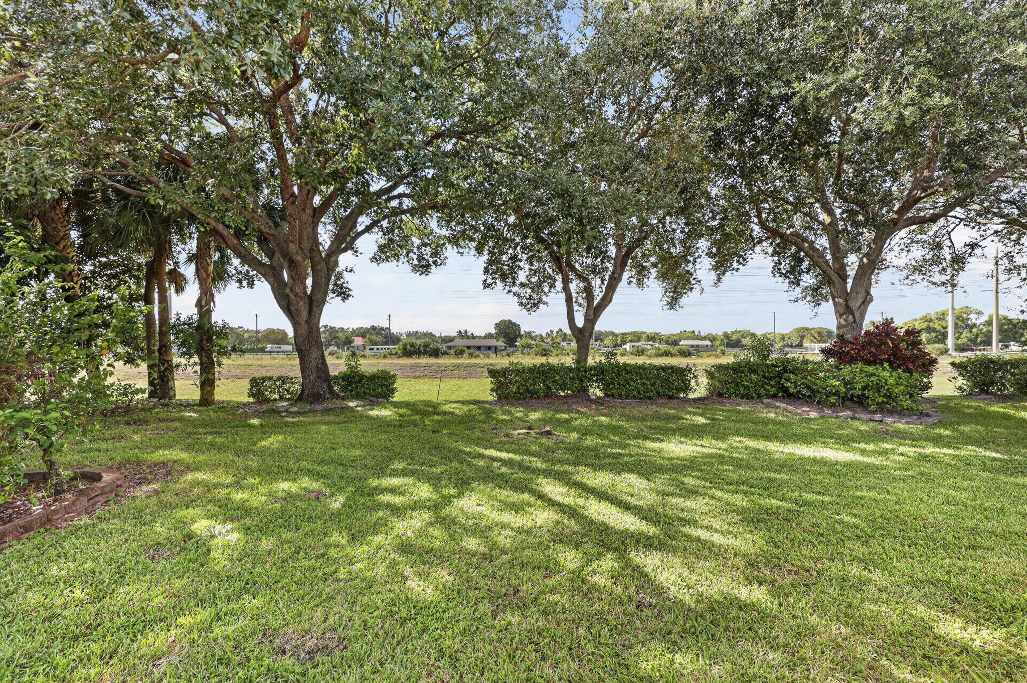 62-web-or-mls-BS1A1821