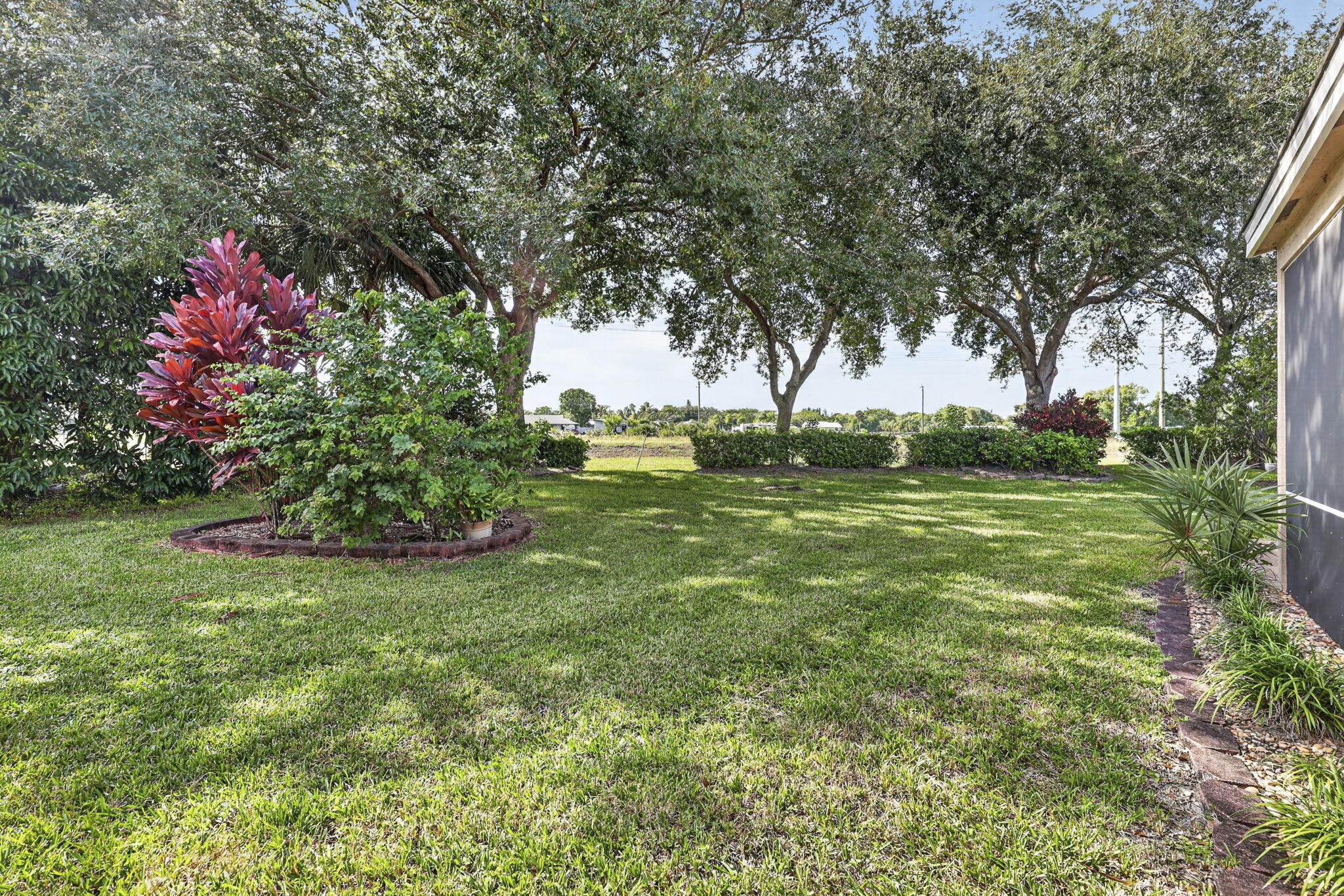61-web-or-mls-BS1A1816