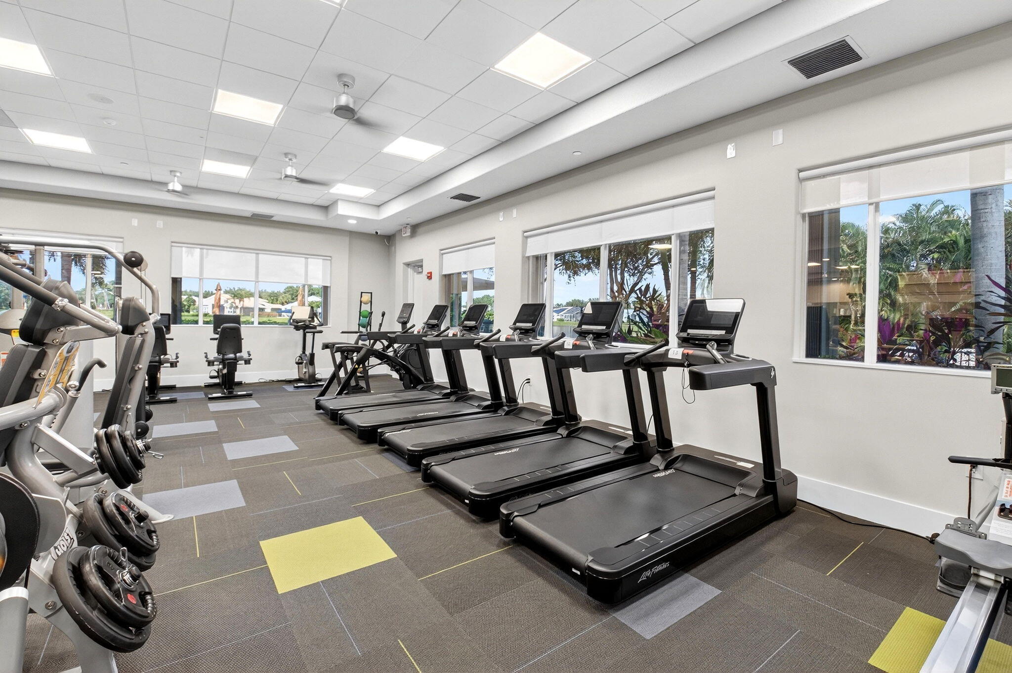 FITENSS CENTER