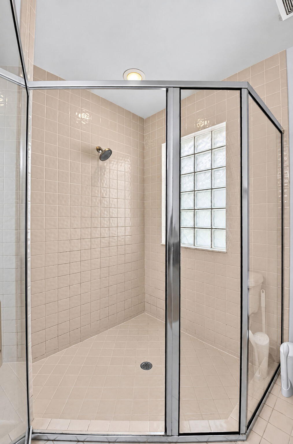 Primary Shower