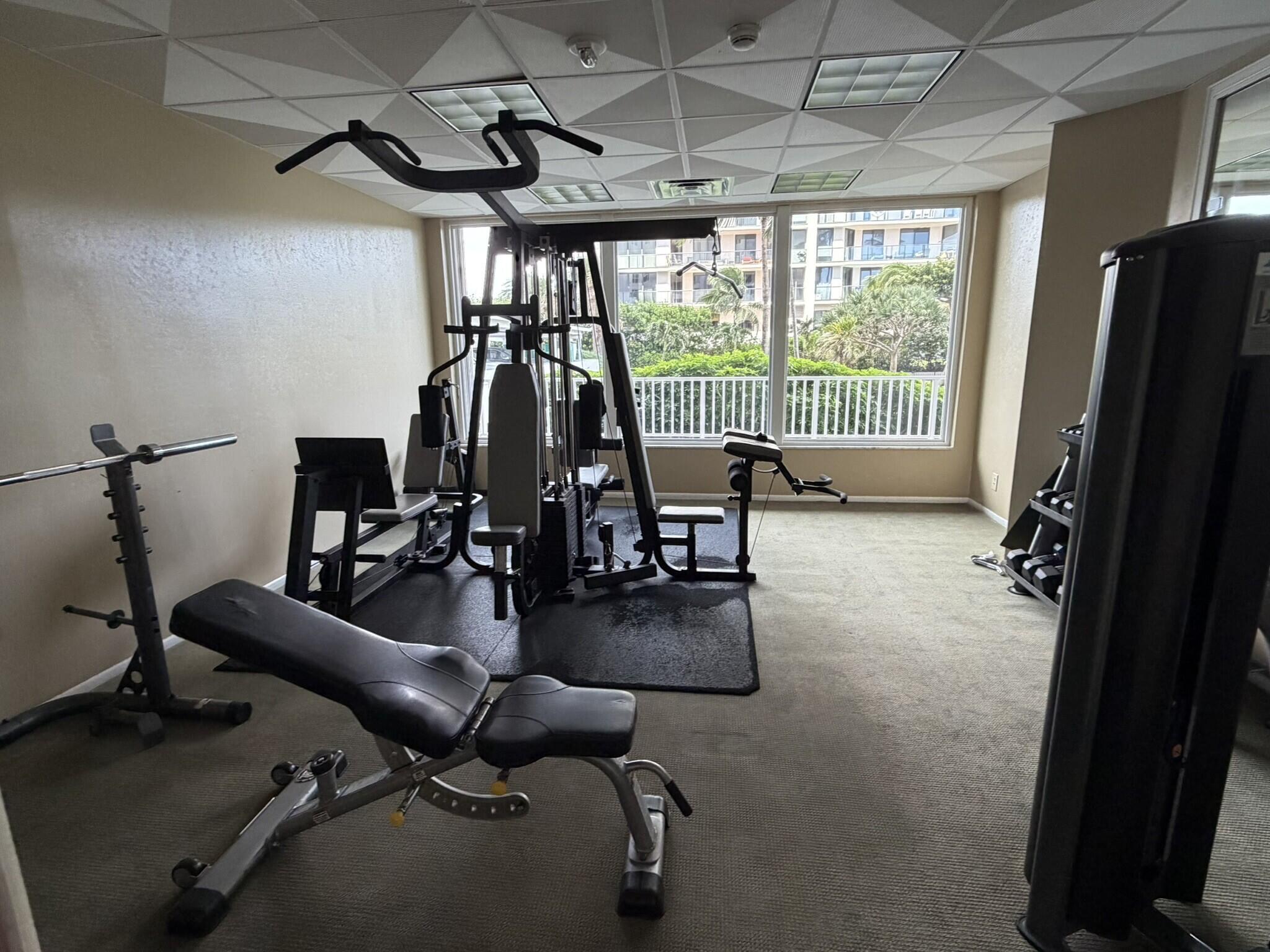 s temporal gym1