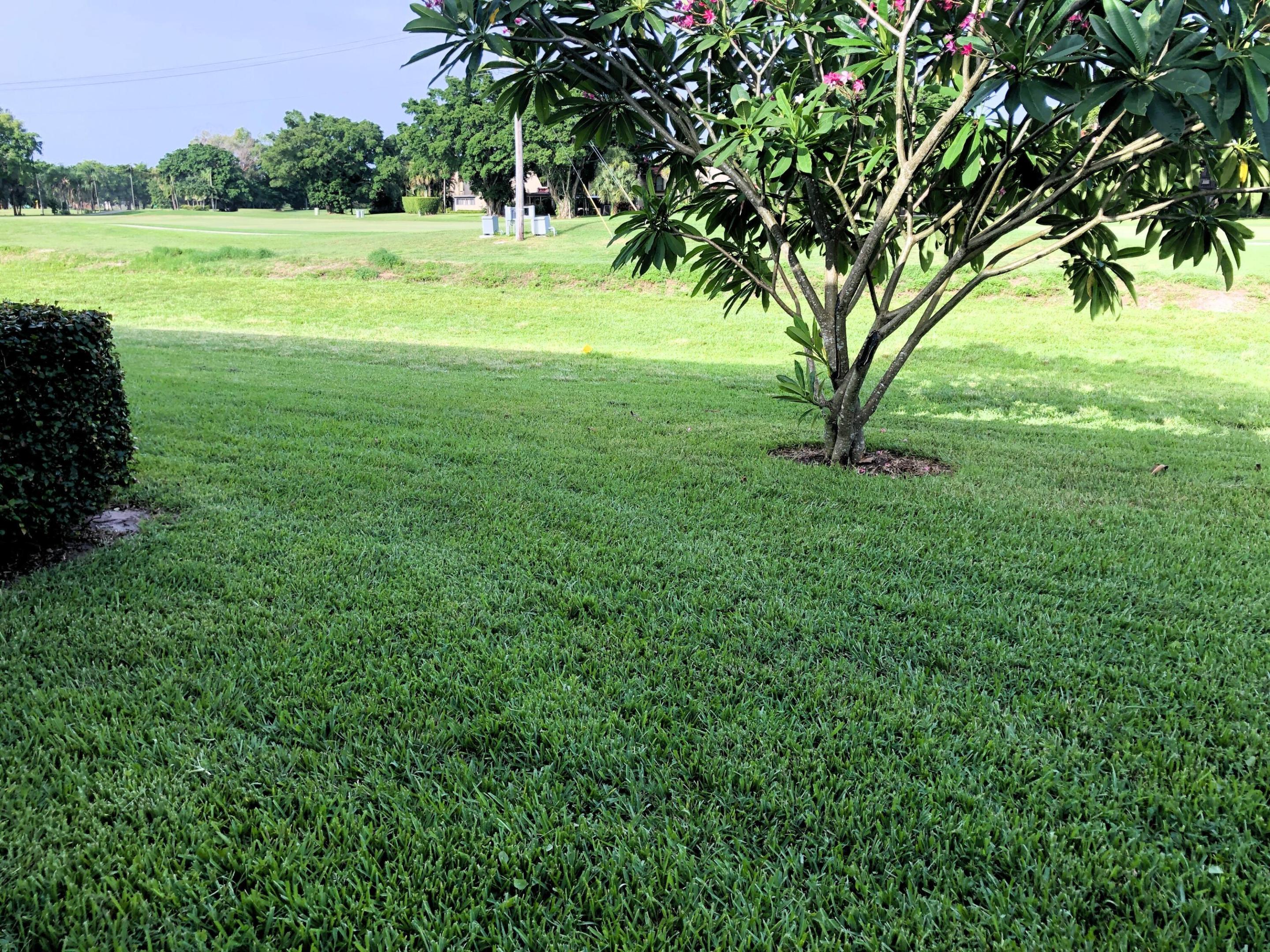 GREENERY LEADS TO CANAL