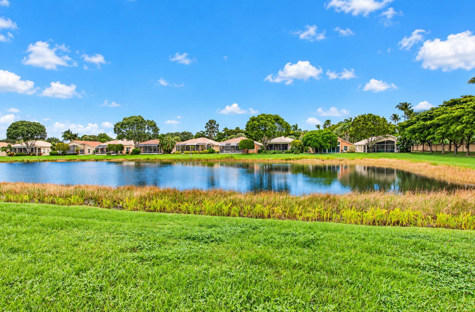 38-web-or-mls-DSC_5511