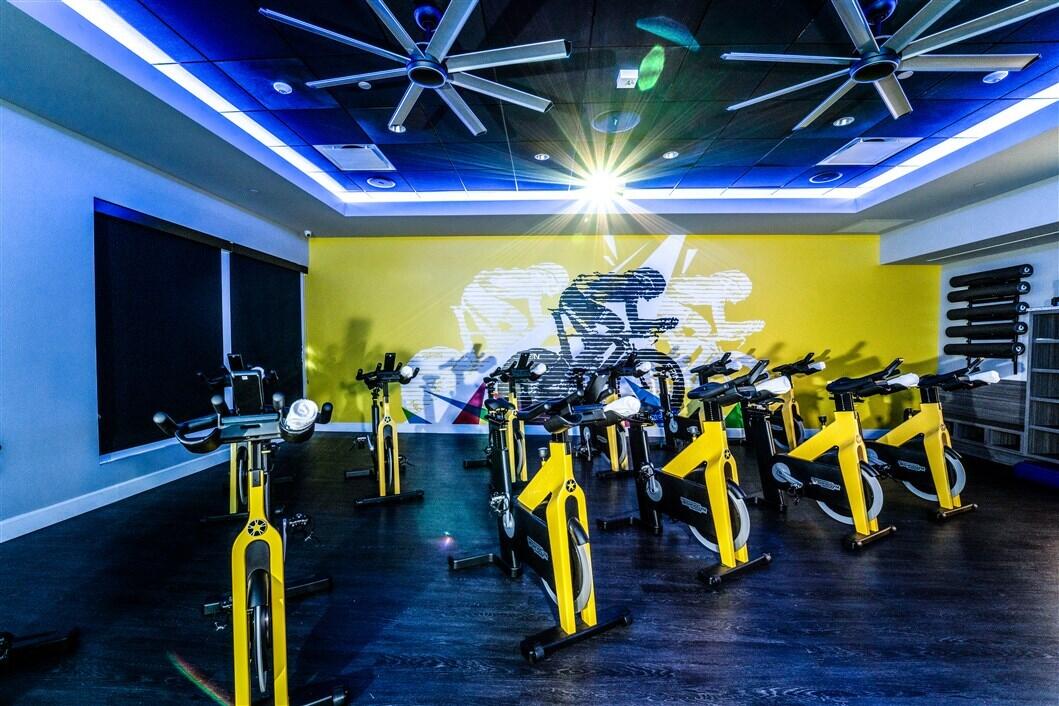 SPIN STUDIO