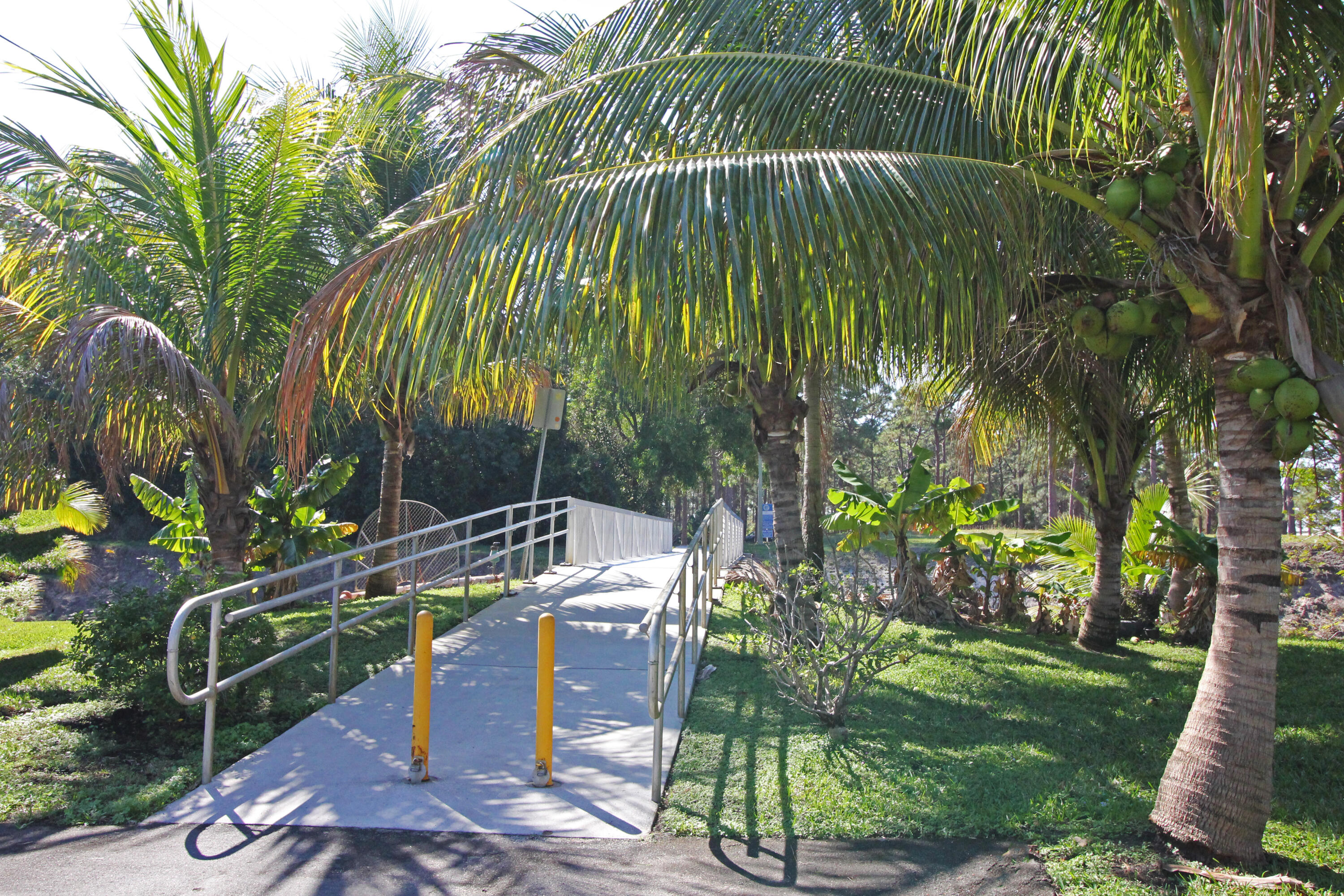 Neighborhood bridge into Caloosa