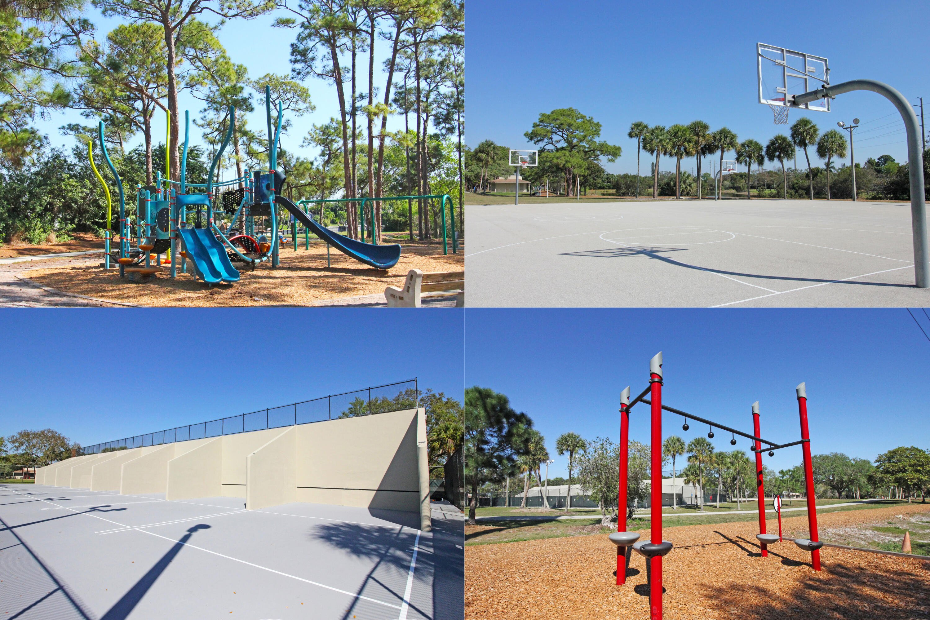 Caloosa Collage