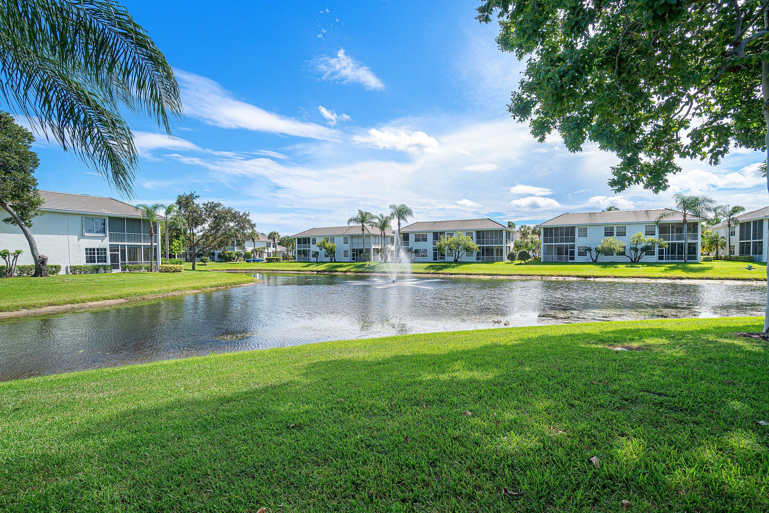 Fountain Views