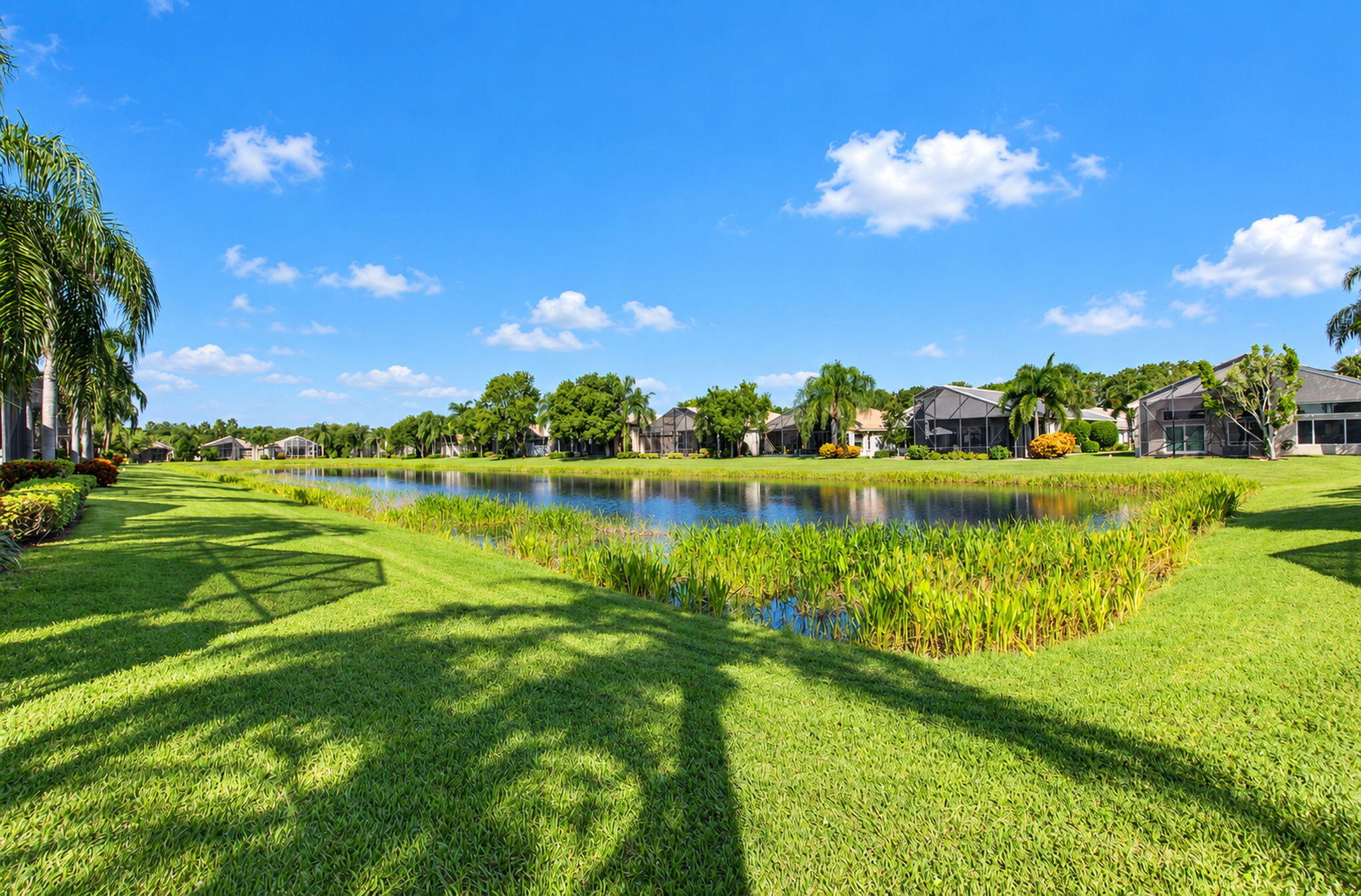 Partial Lake View