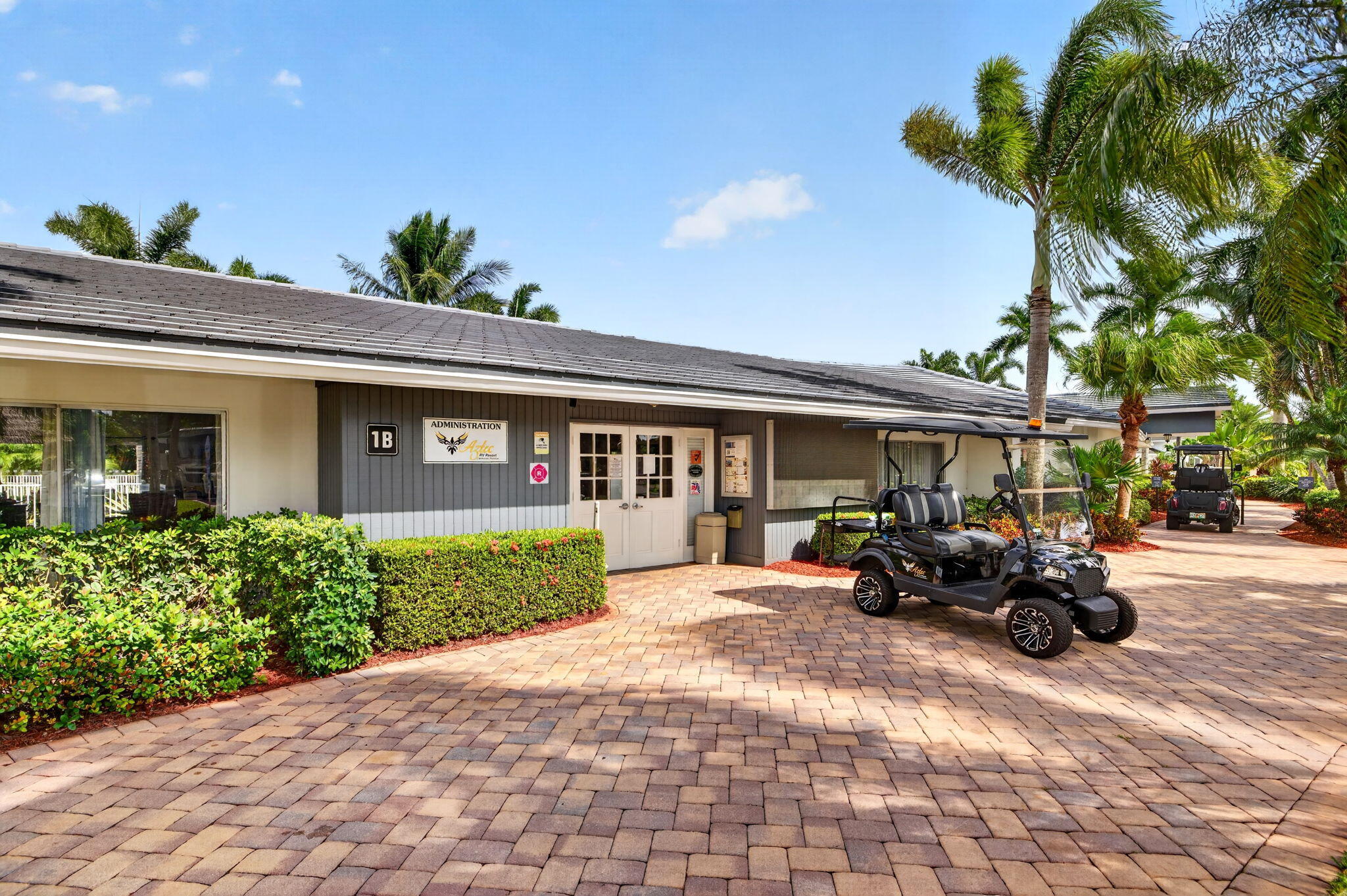 84-web-or-mls-699A5129