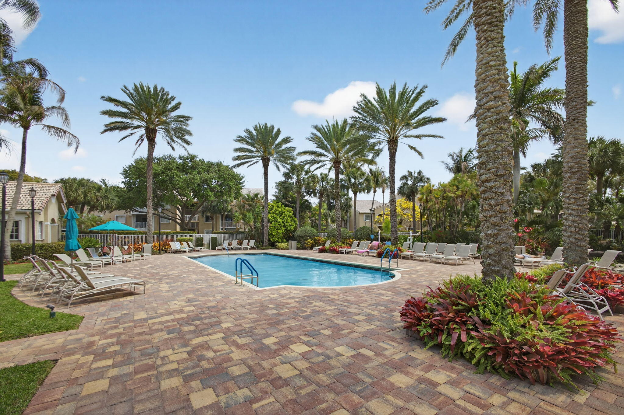 Swimming pool featuring a paver stone deck, manicured garden beds, and mature palm trees