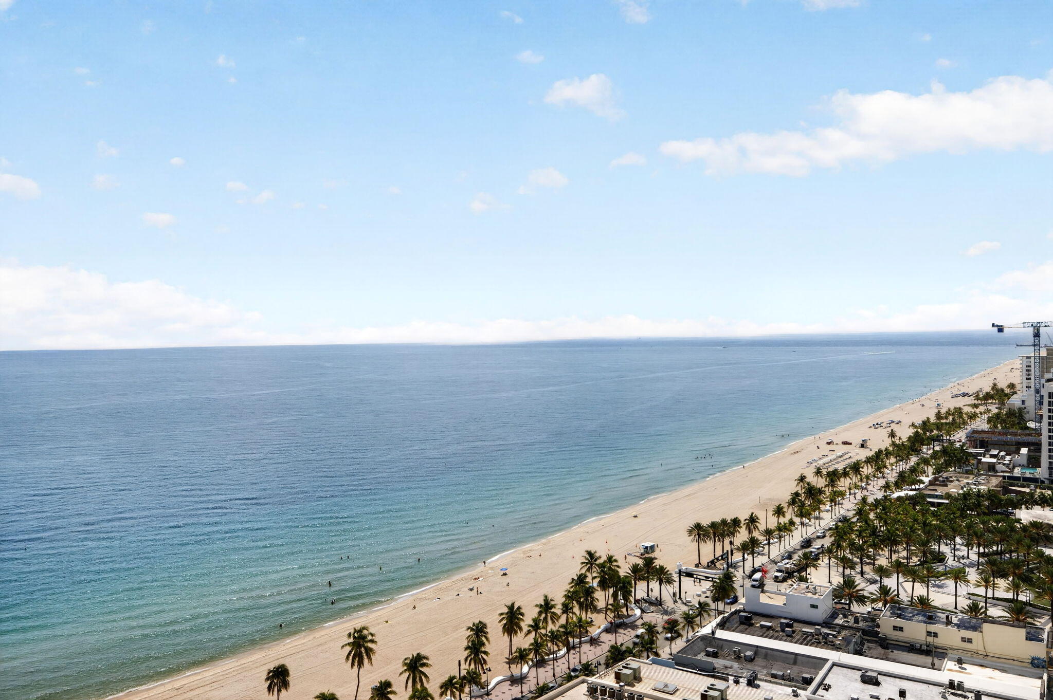 50-web-or-mls-699A2089