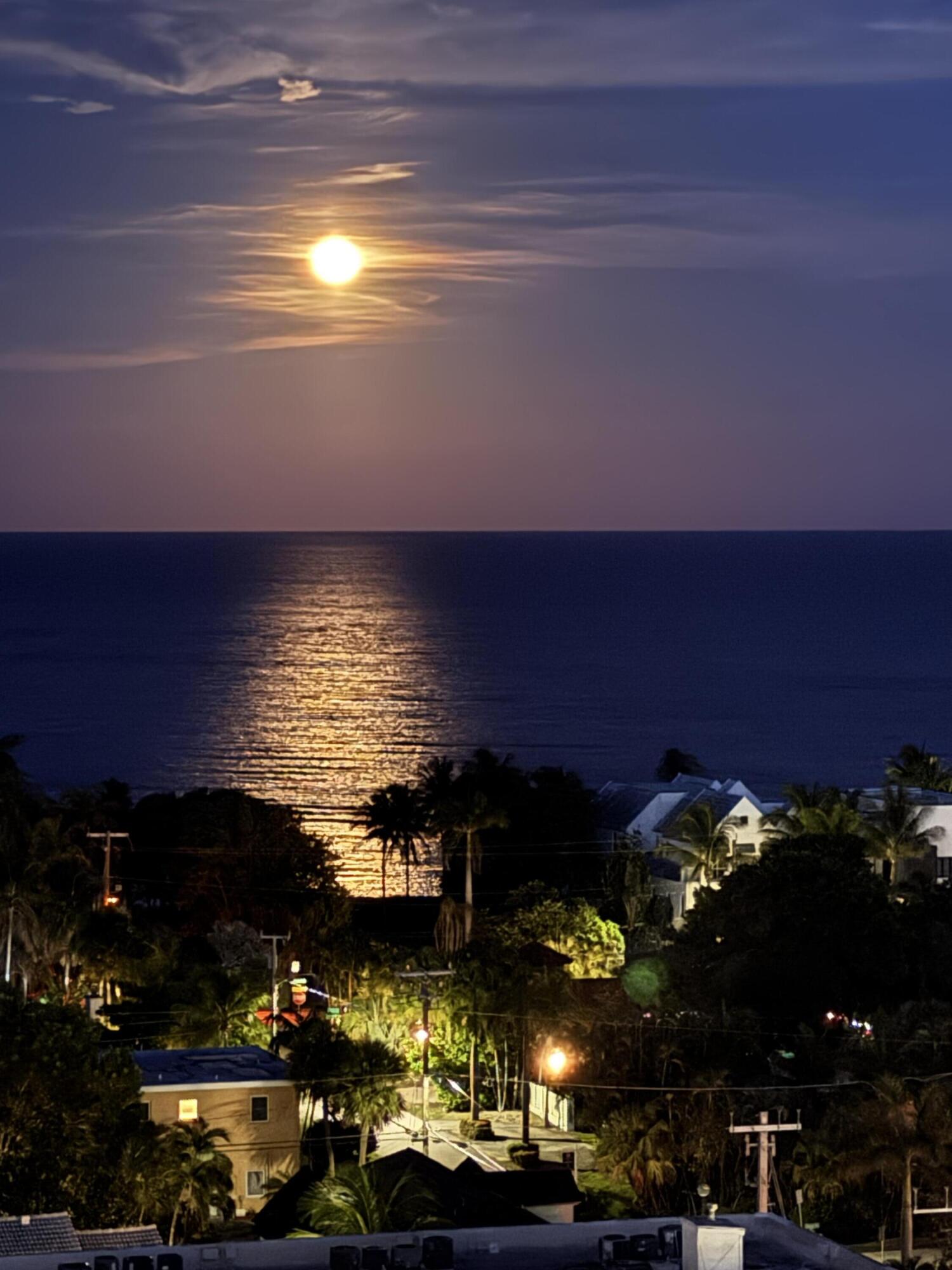 Ocean view