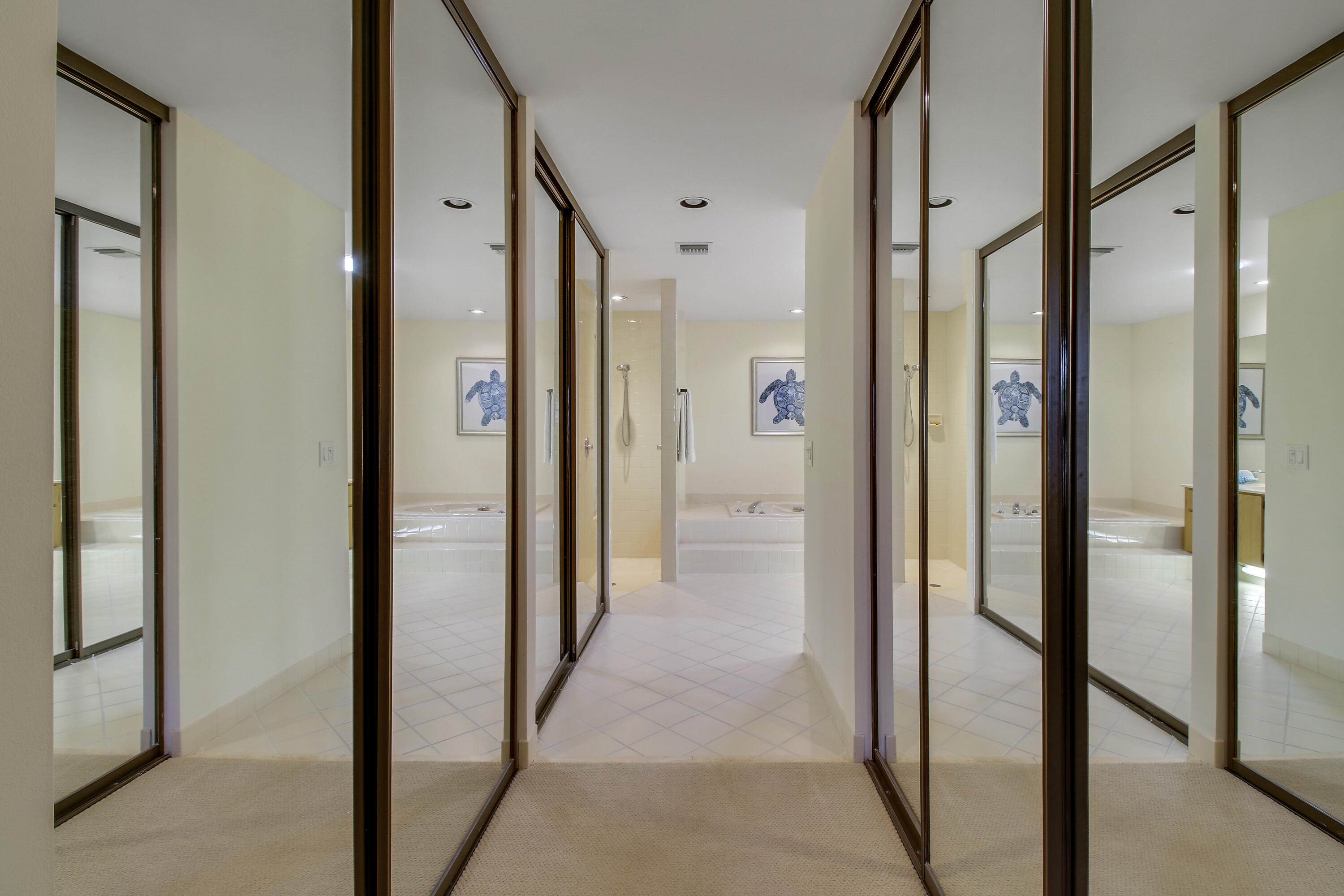 Master Bedroom Closets