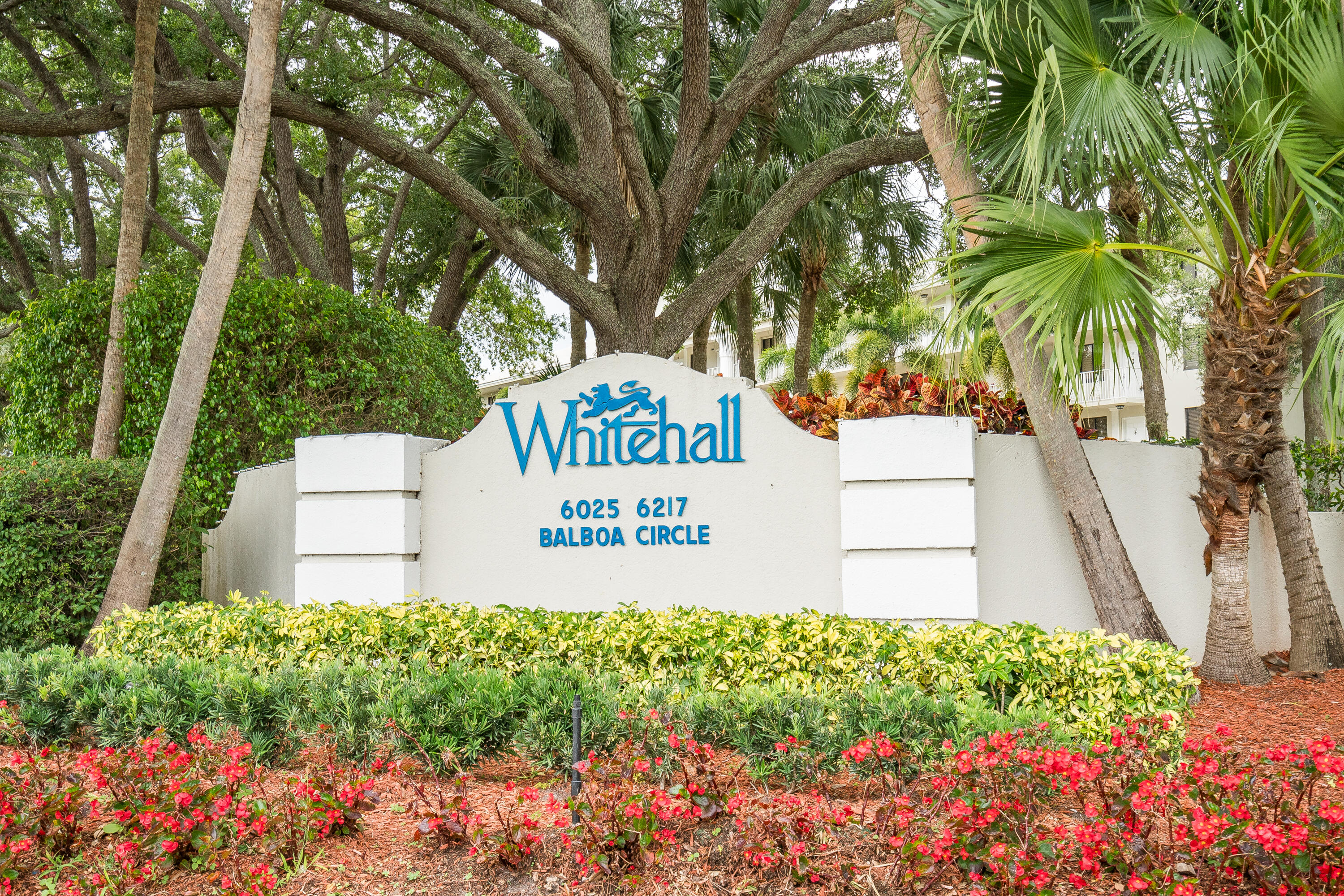 whitehalle-12
