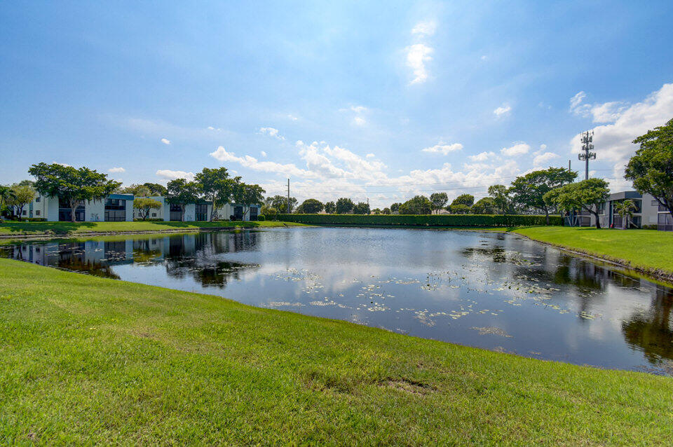 Lake view