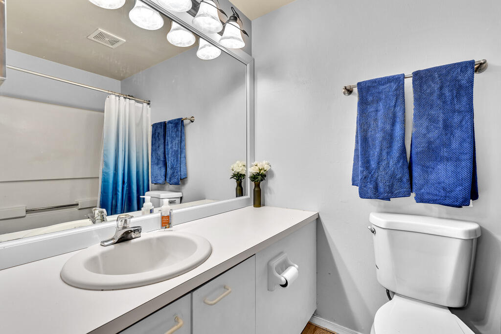 Primary bathroom with a shower-tub combo