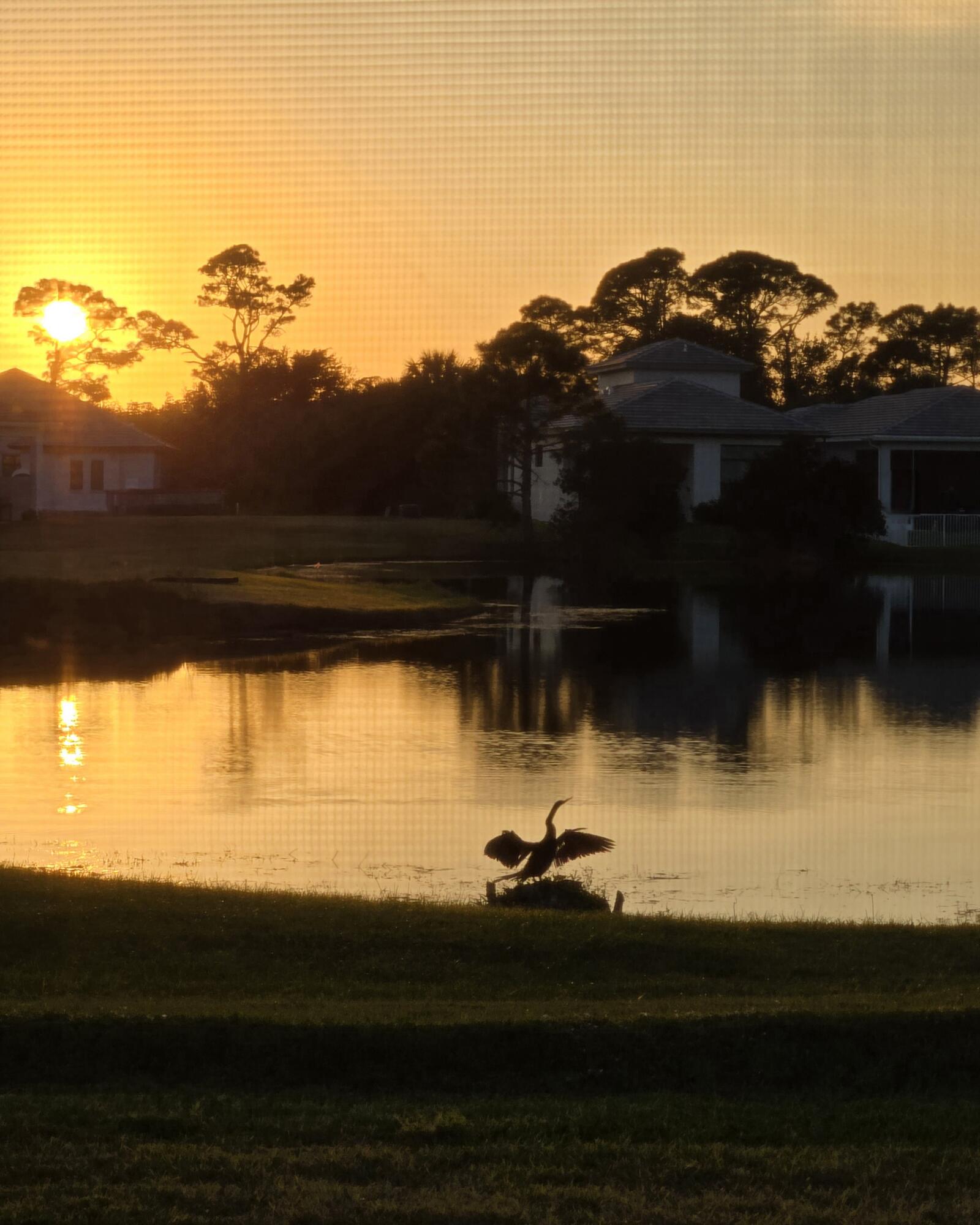 Stunning Sunsets!