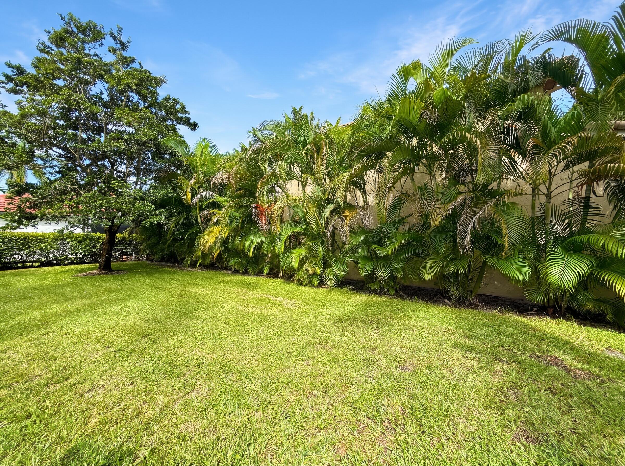 Bonus Easement to the South of the Home