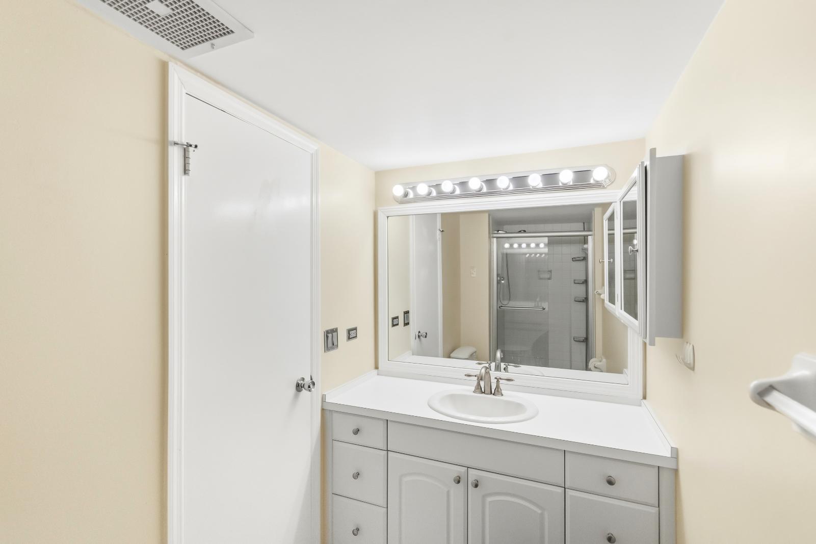 Primary Bathroom Vanity