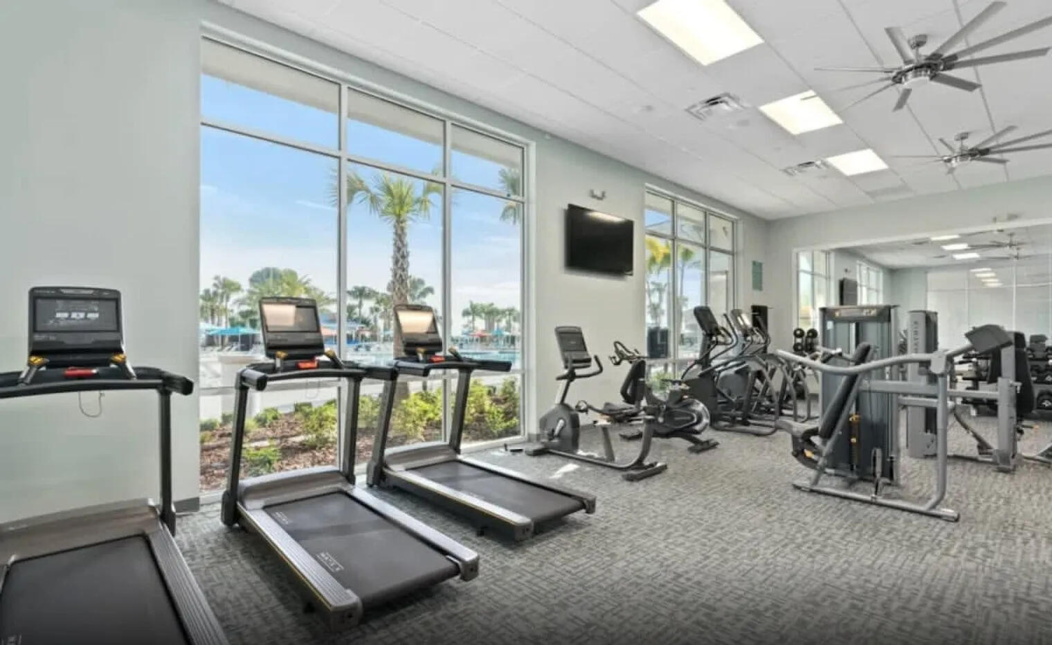 59.Gym