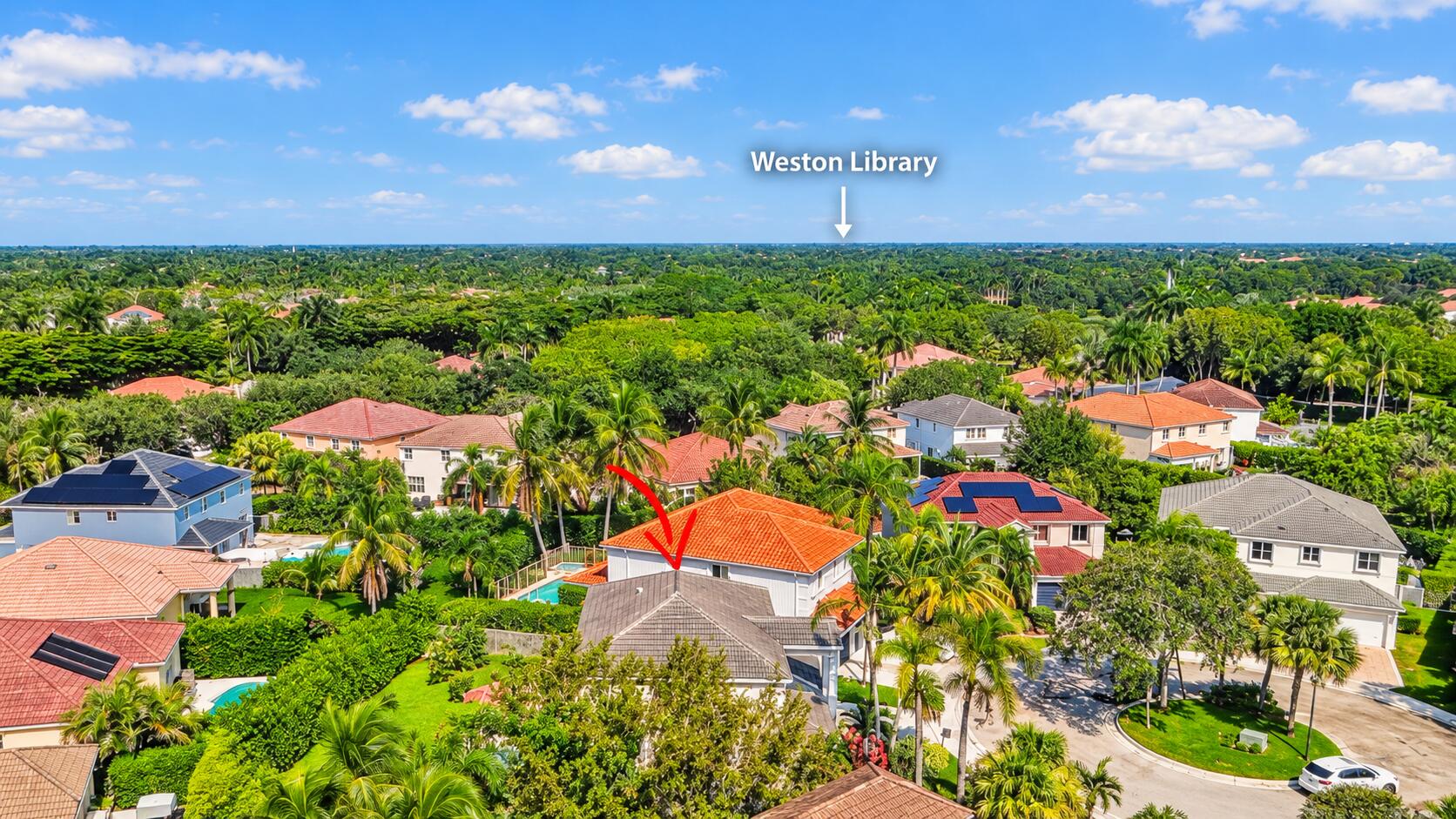 Right outside The Ridges, just across the road, you'll find the wonderful Weston Library with adjacent passive reading park.