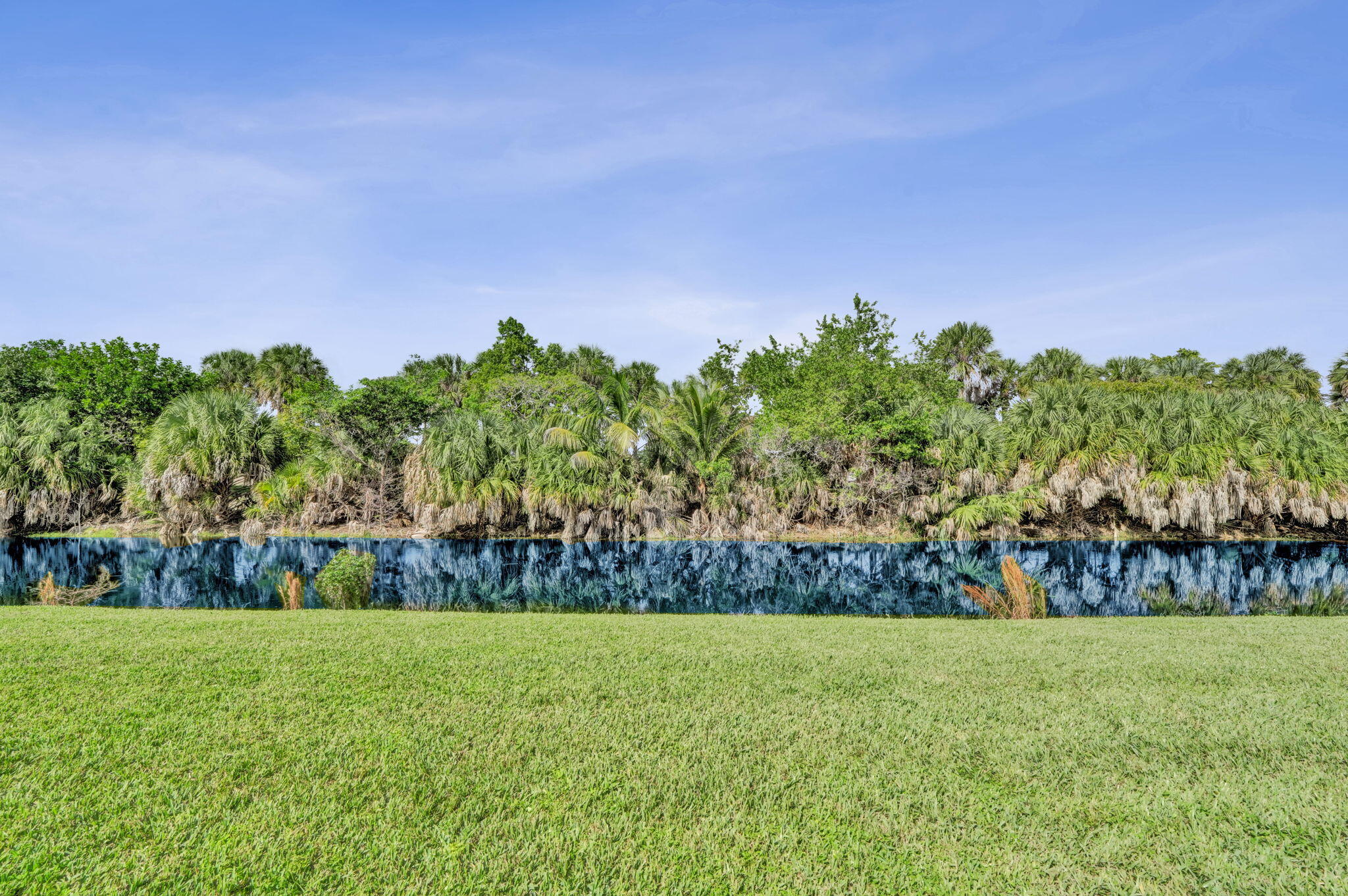16-web-or-mls-DSC04765