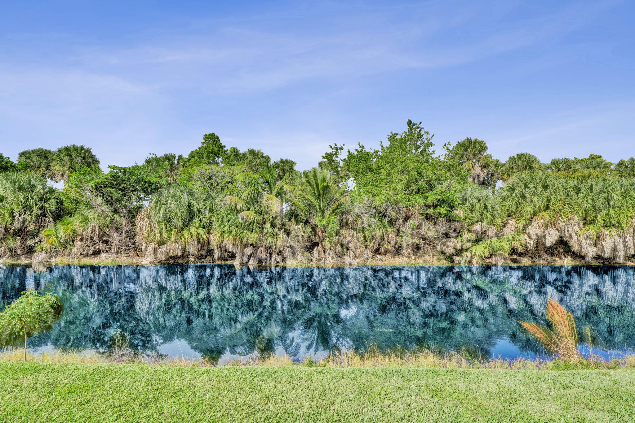 23-web-or-mls-DSC04786