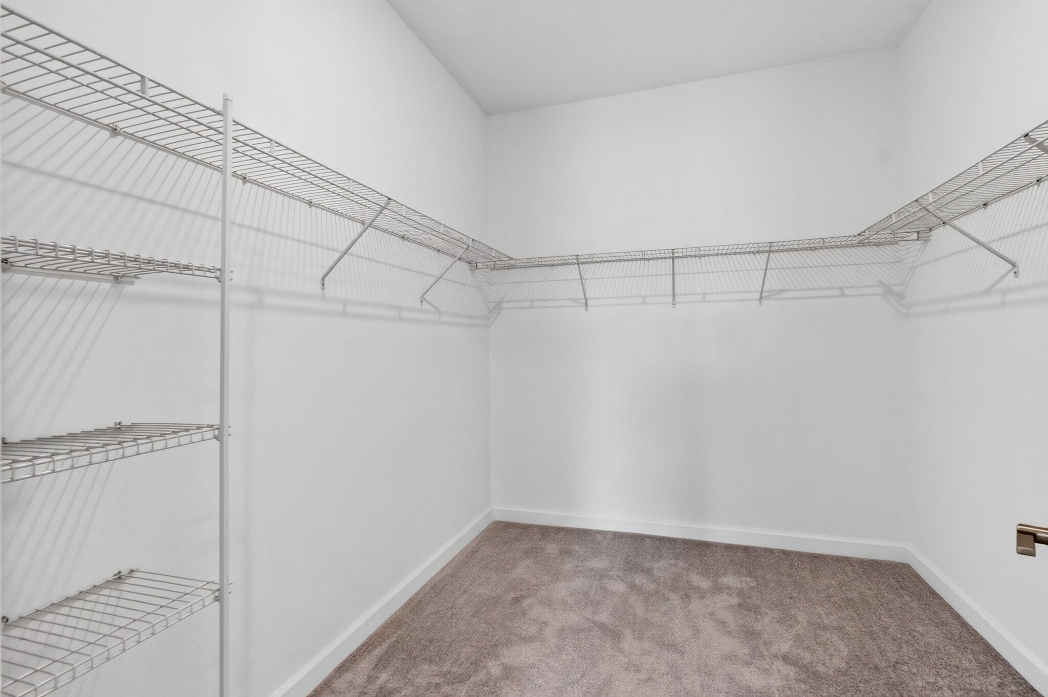 Primary Walk-in Closet